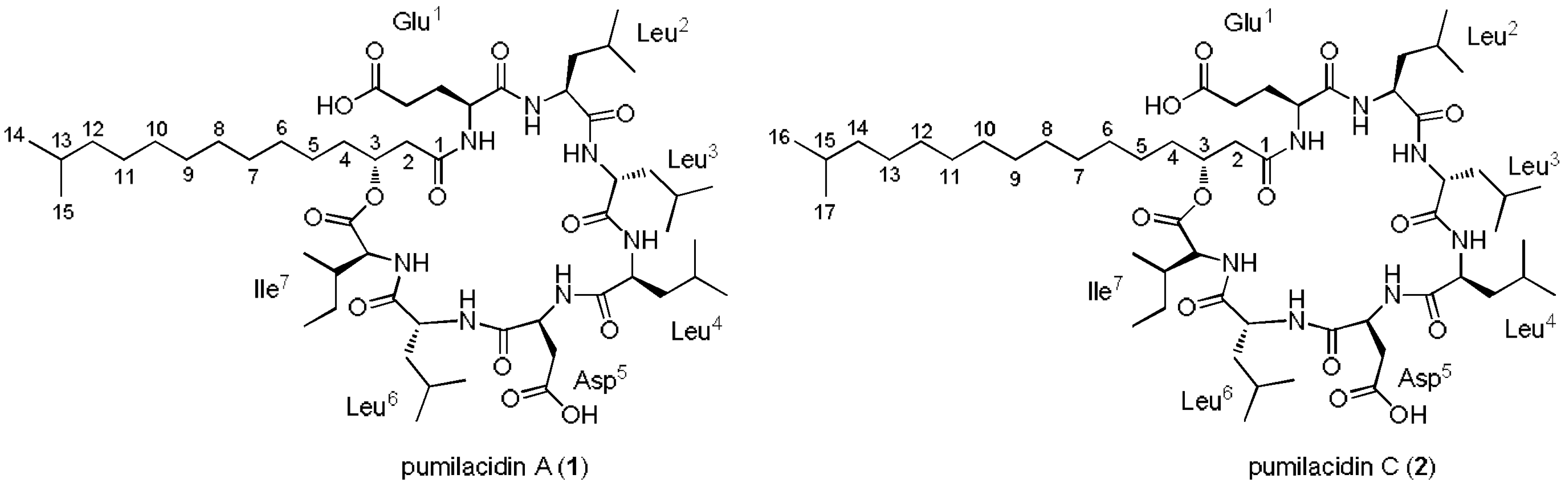 Molecules 23 02179 g001 Molecules 23 02179 g001