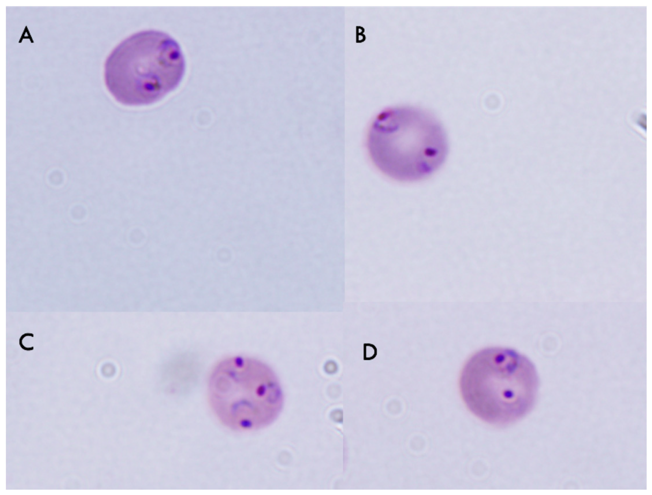 Molecules 23 02179 g011 Molecules 23 02179 g011