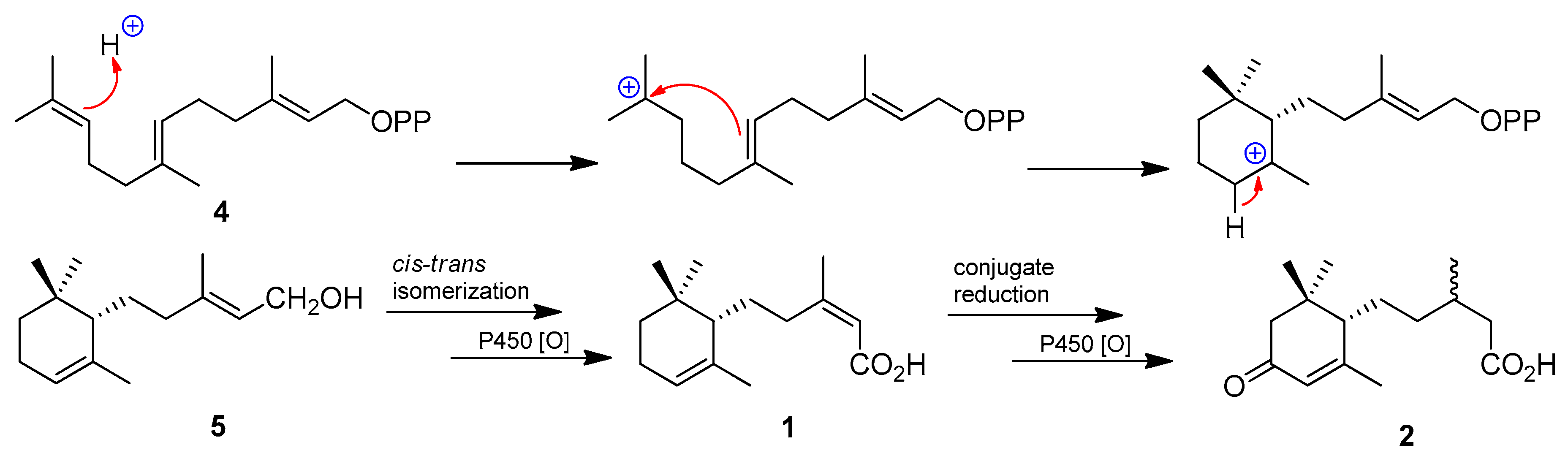 Molecules 23 02190 sch001 550