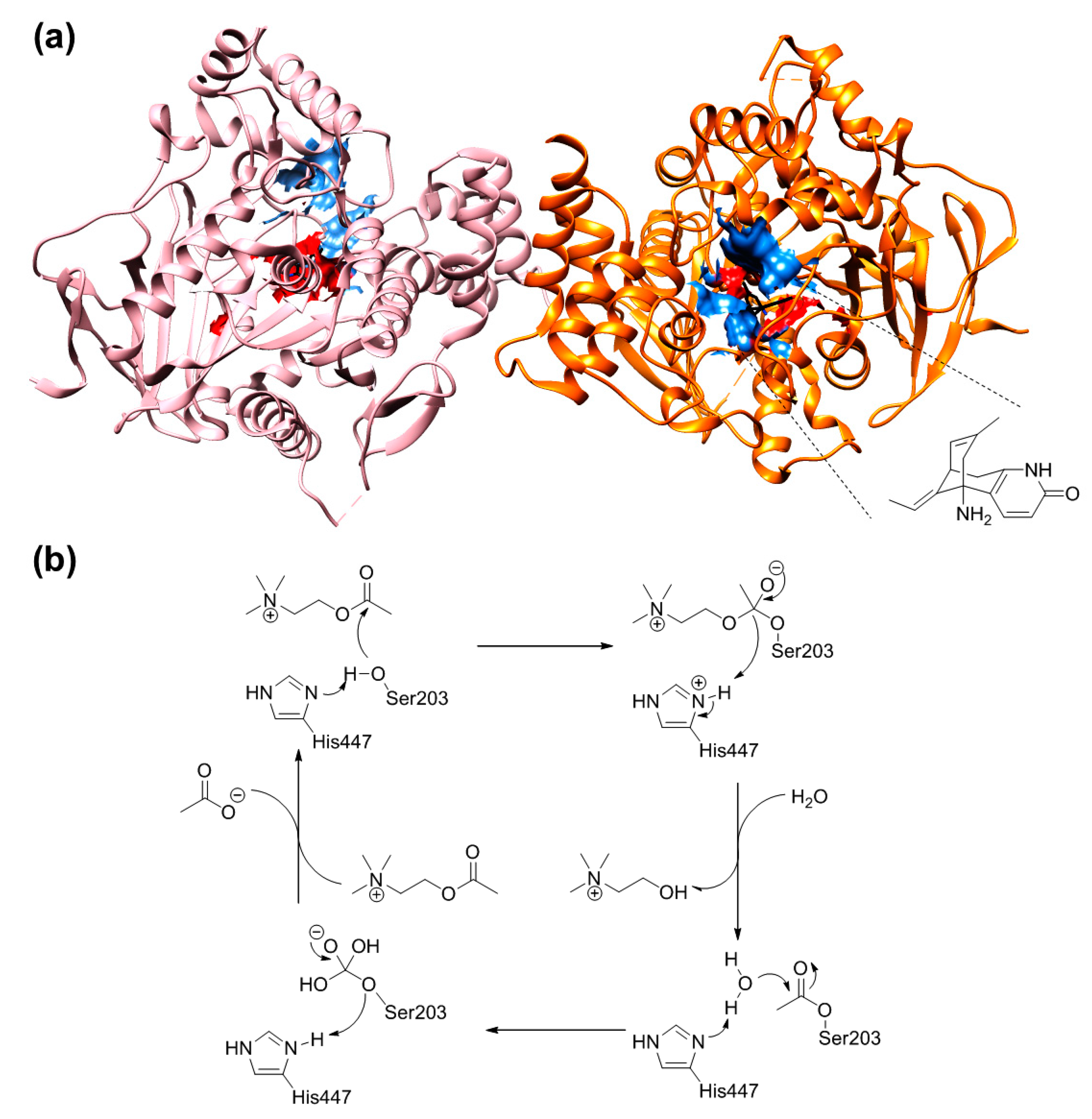 Molecules 23 02192 g001