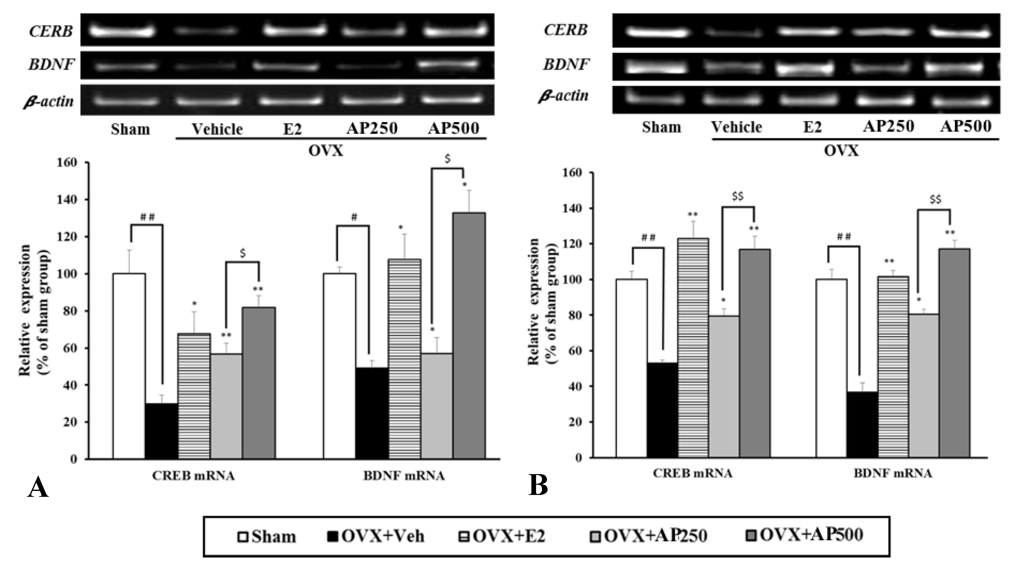Molecules 23 02202 g005