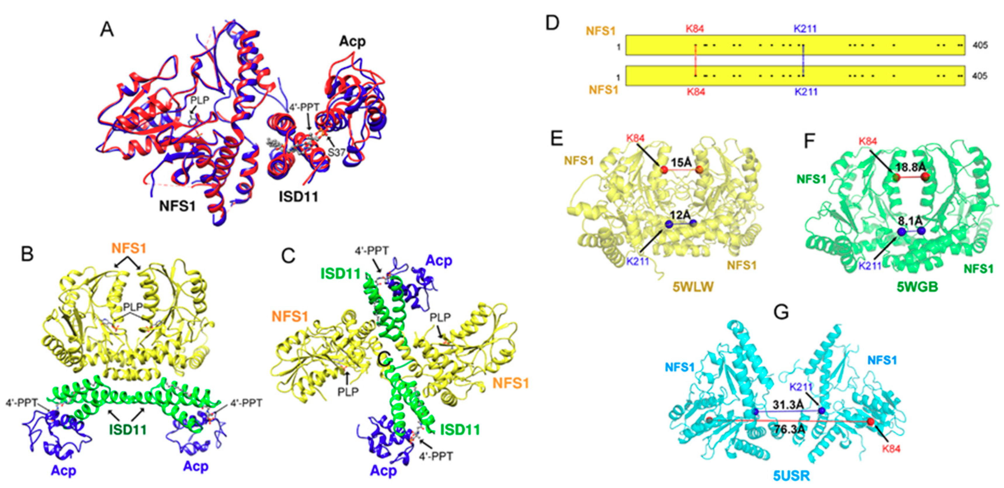 Molecules 23 02213 g003