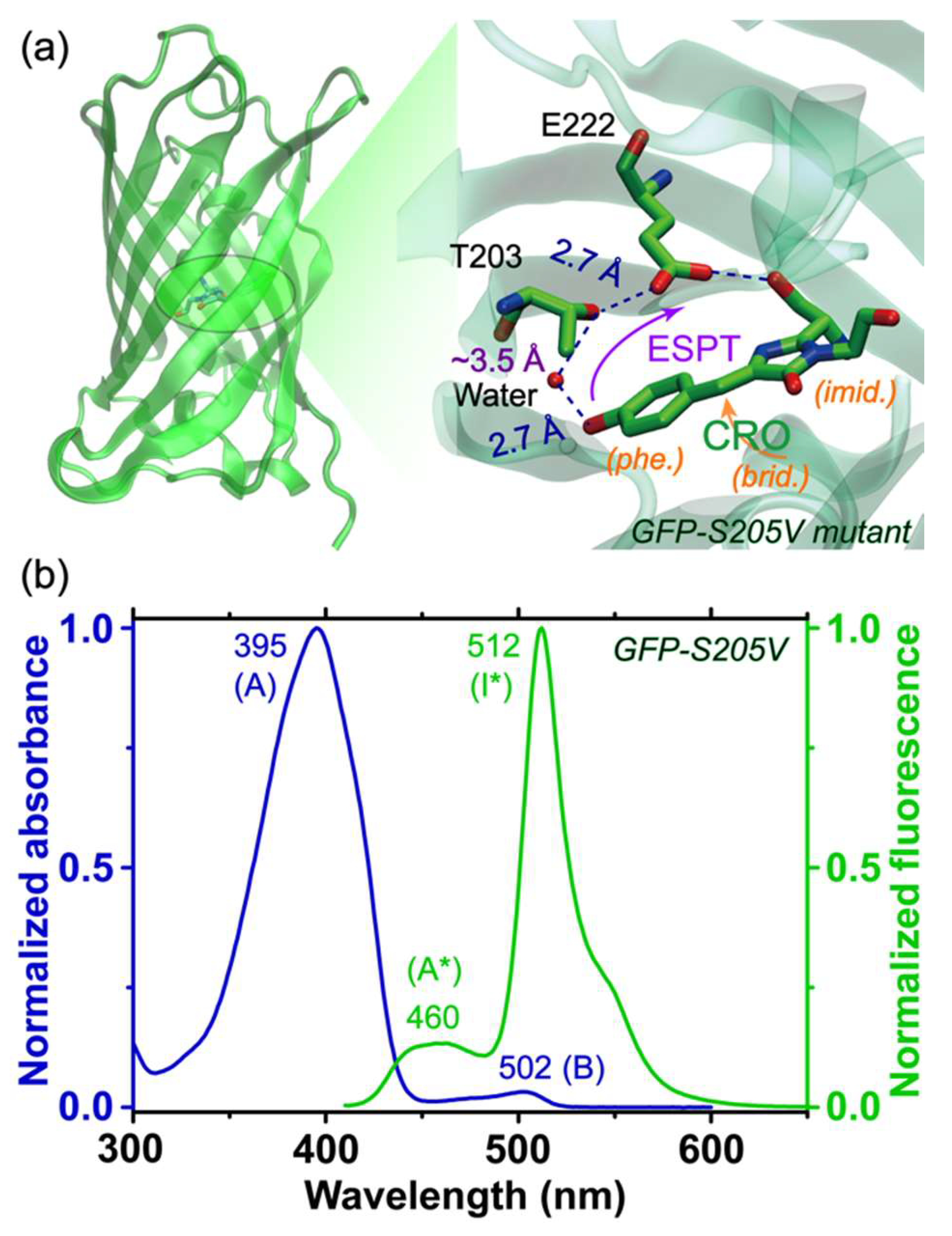 Molecules 23 02226 g001