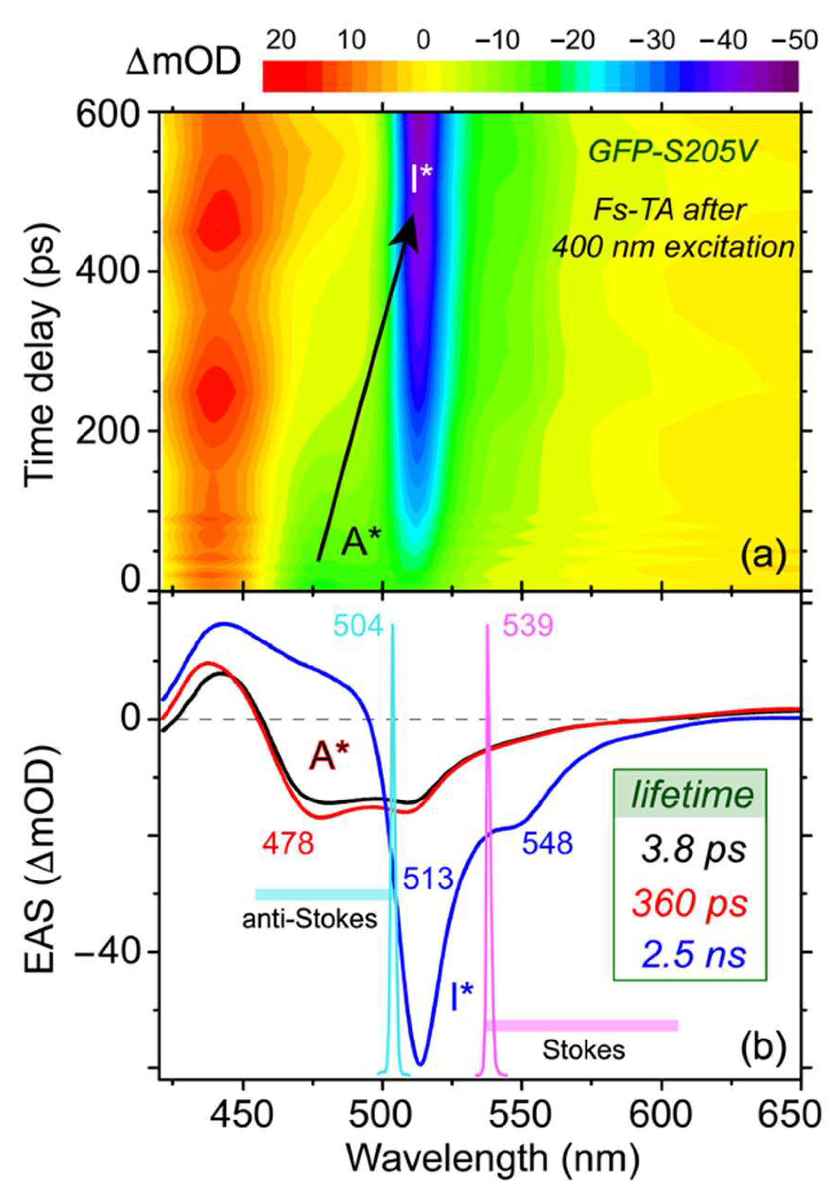 Molecules 23 02226 g002