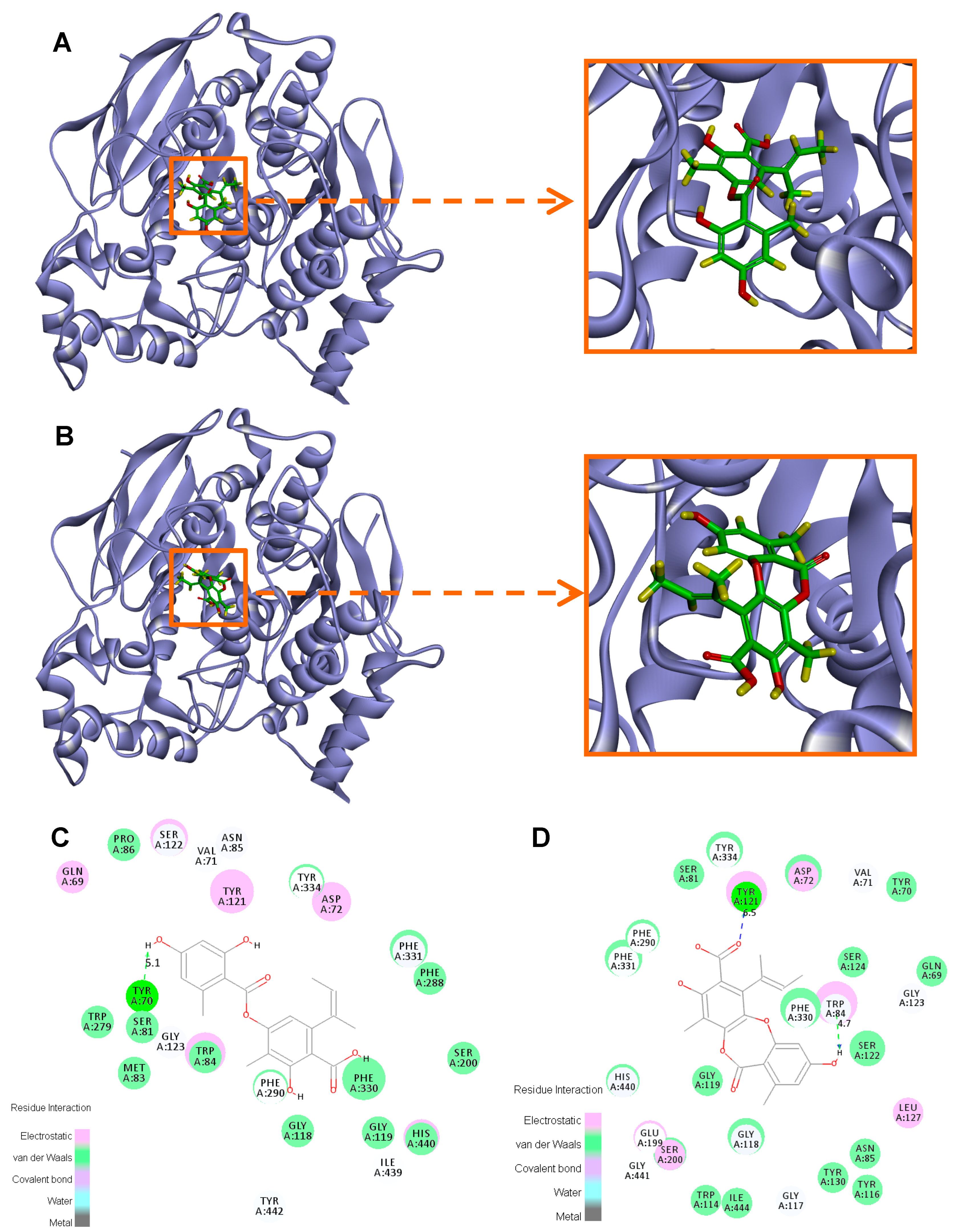 Molecules 23 02245 g005
