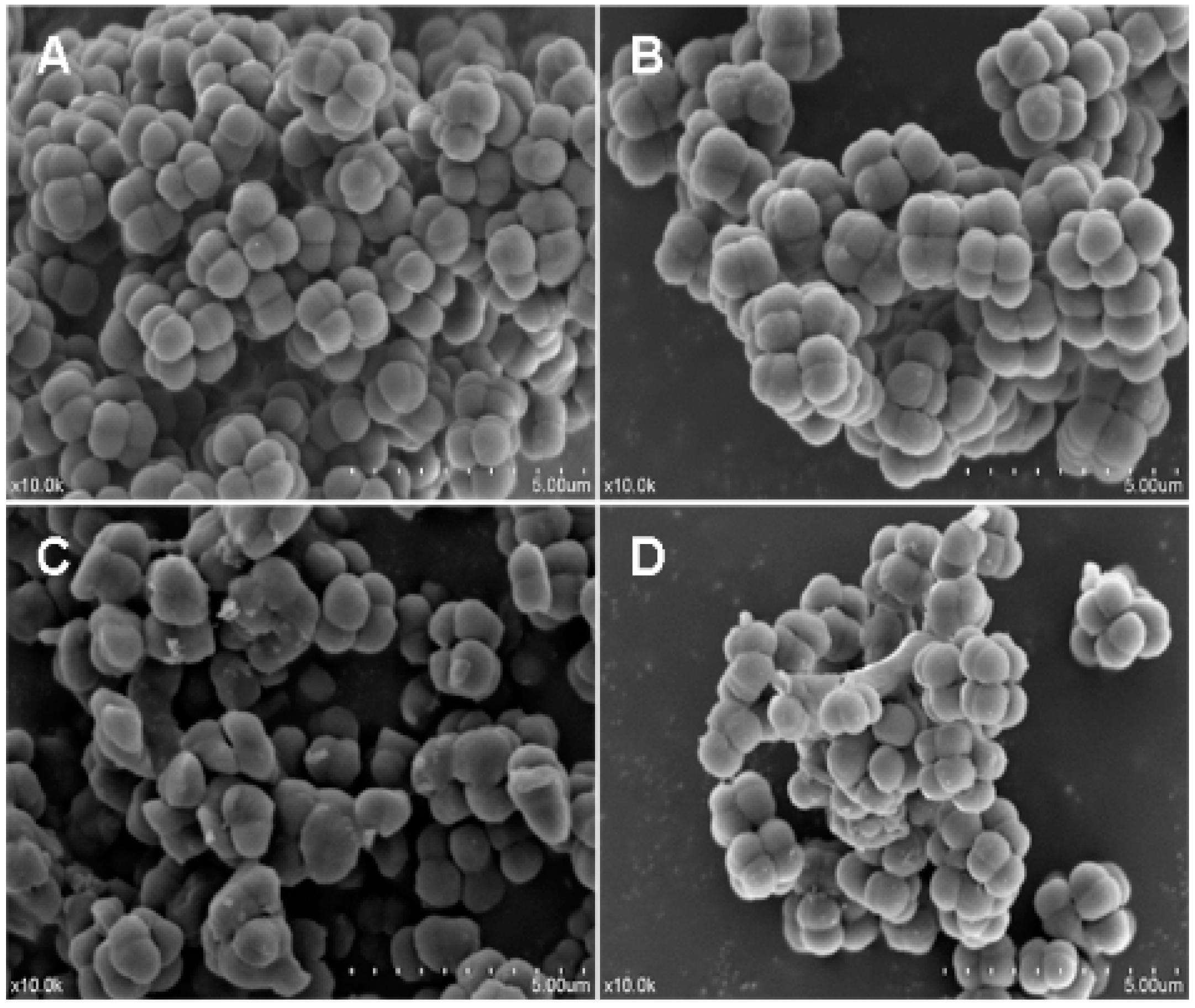 Molecules 23 02246 g008