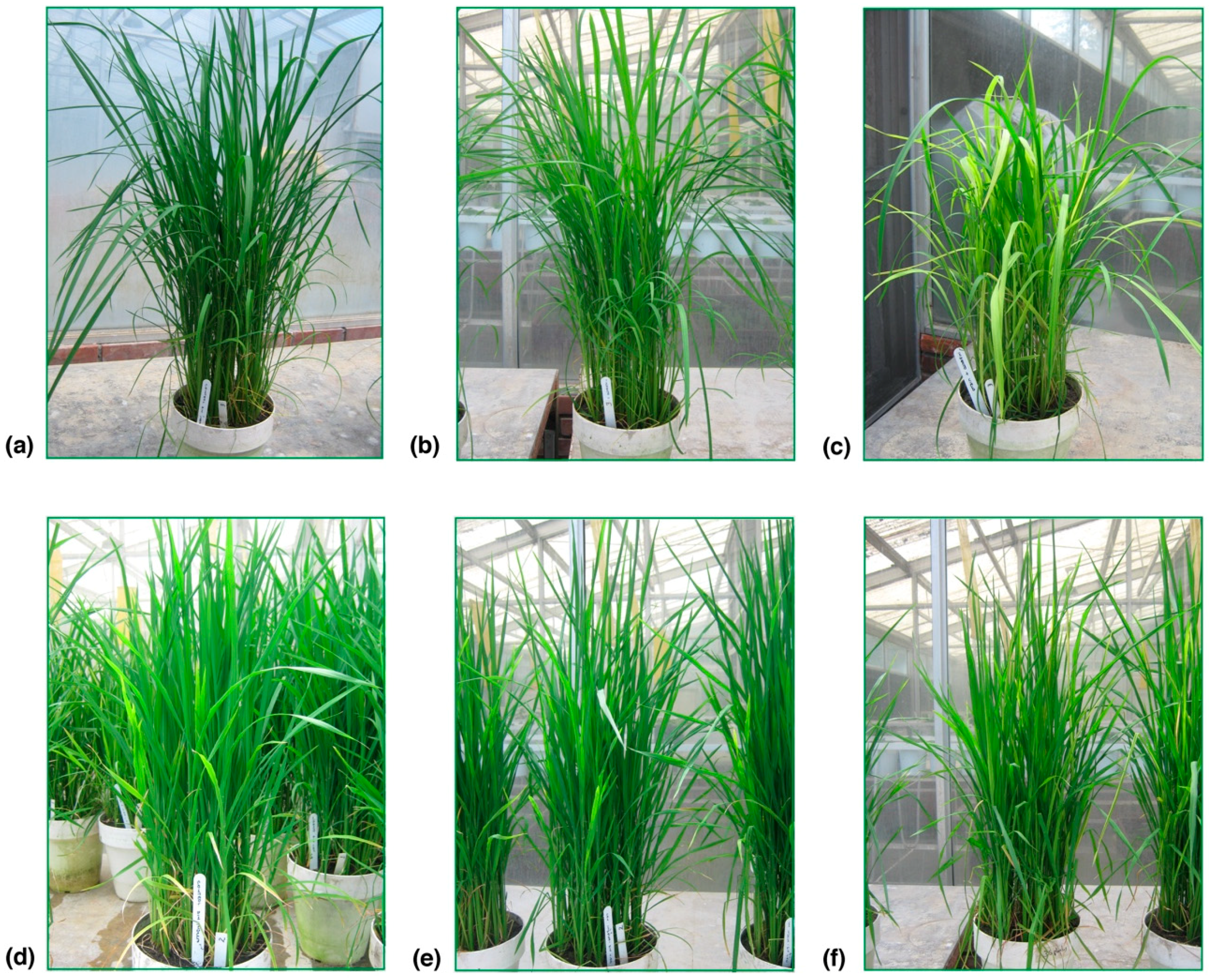 Molecules 23 02262 g001
