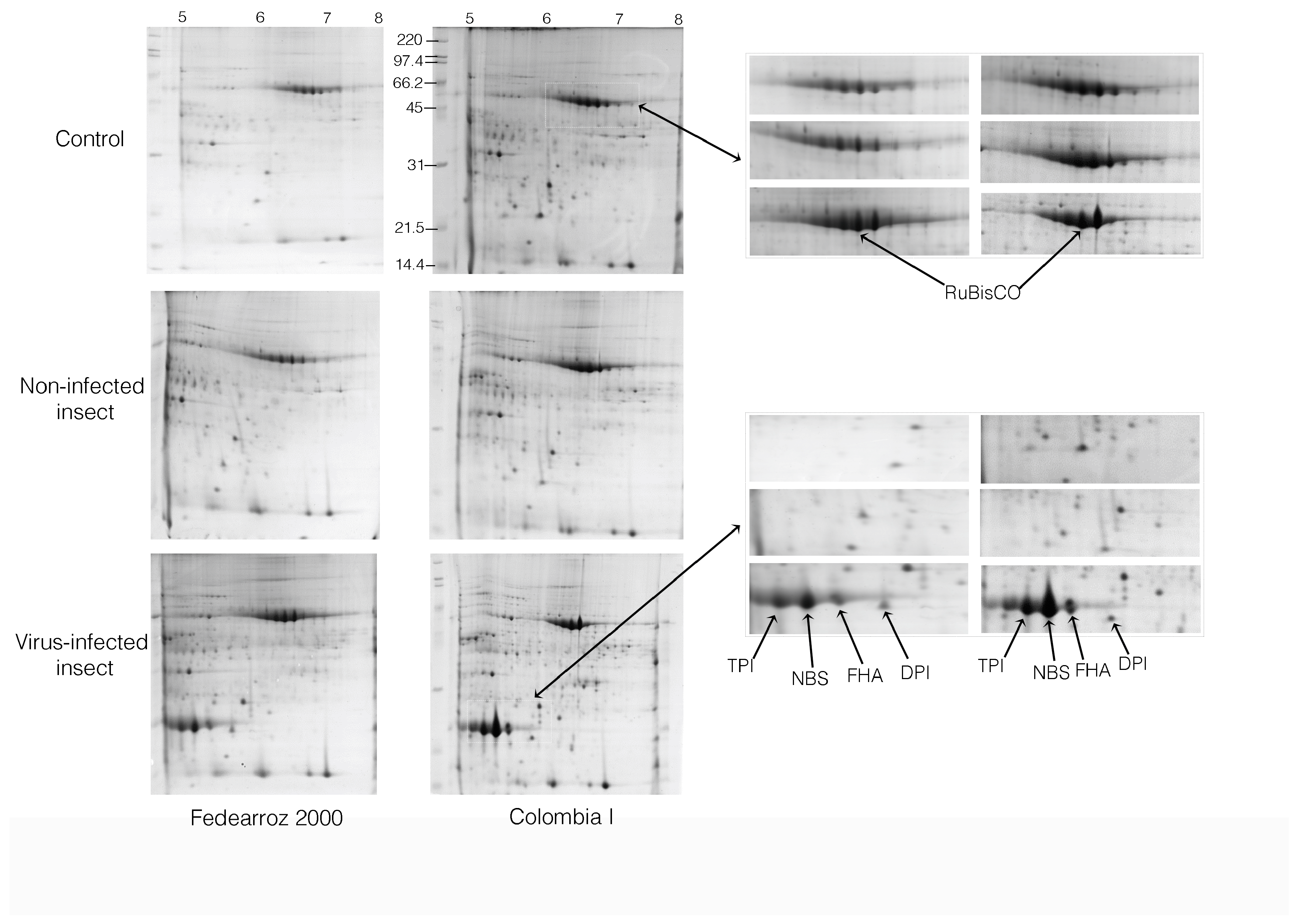 Molecules 23 02262 g002