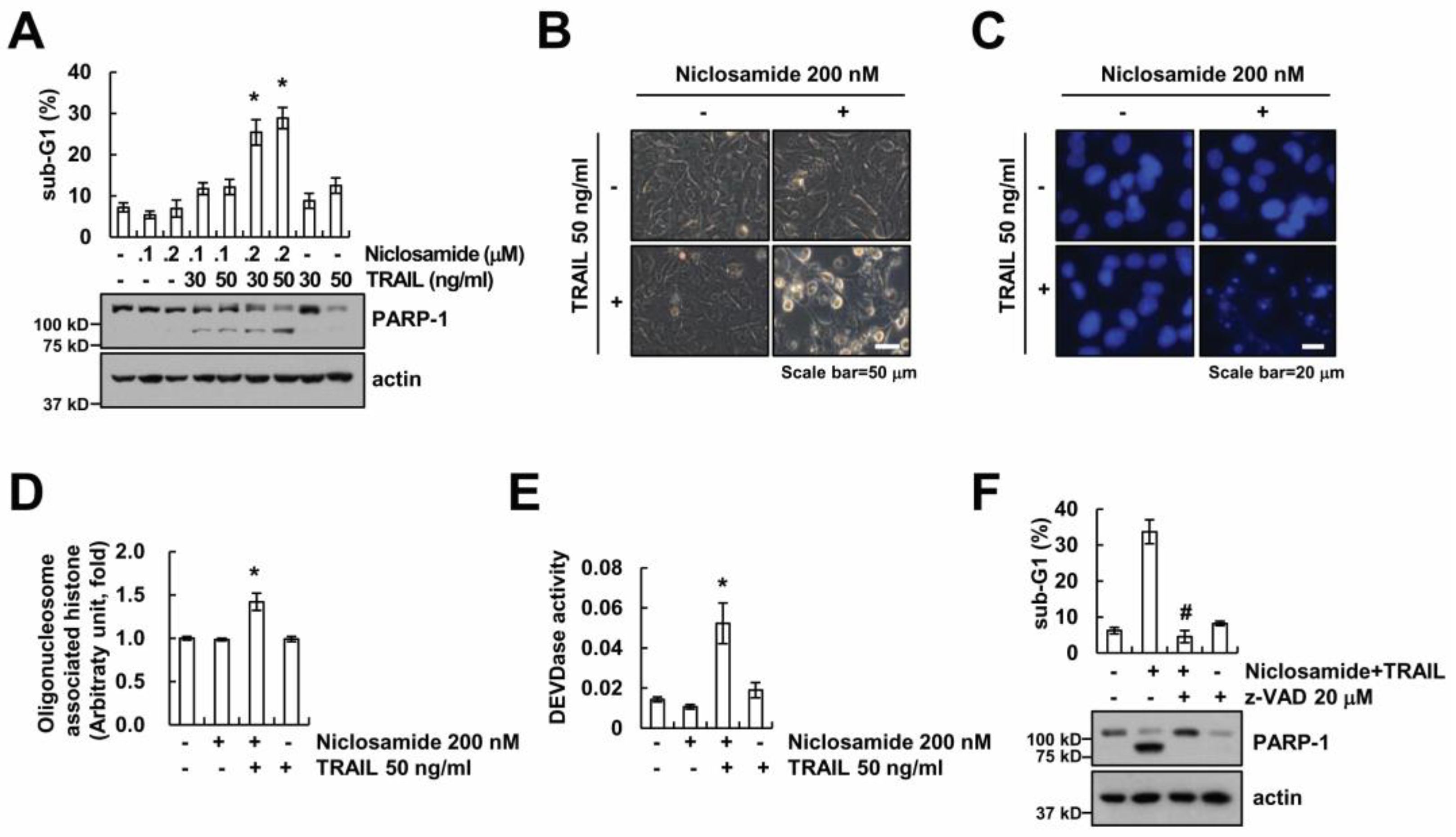 Molecules 23 02264 g001 Molecules 23 02264 g001