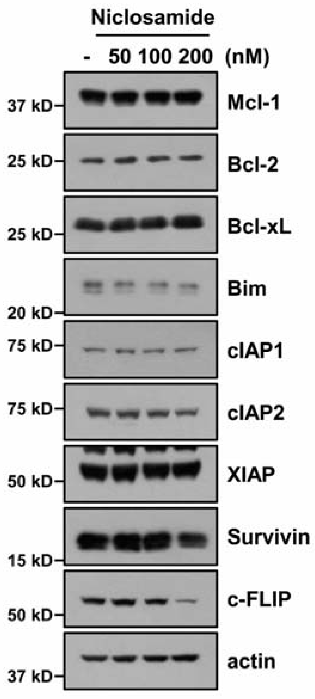 Molecules 23 02264 g002 Molecules 23 02264 g002