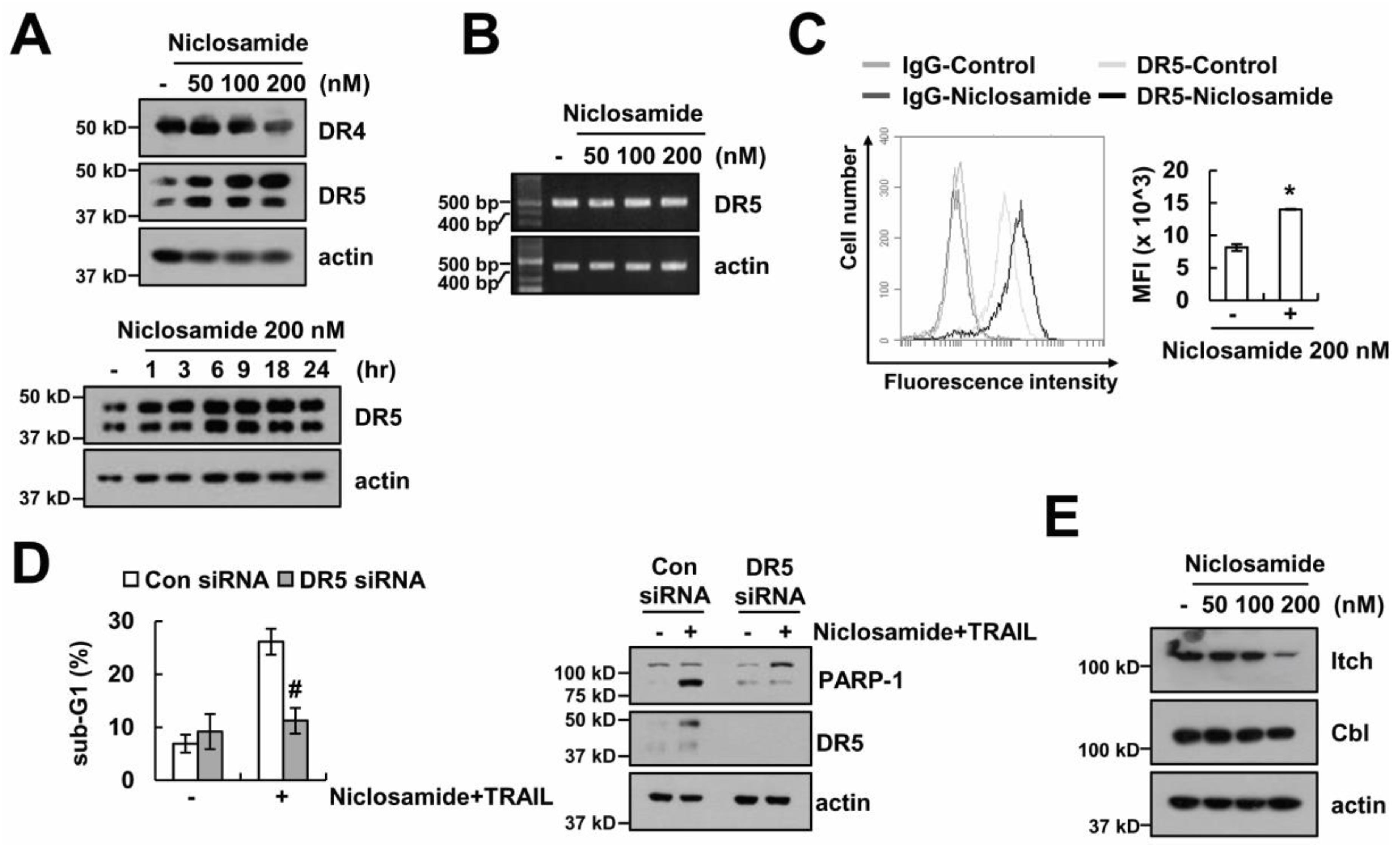 Molecules 23 02264 g004 Molecules 23 02264 g004