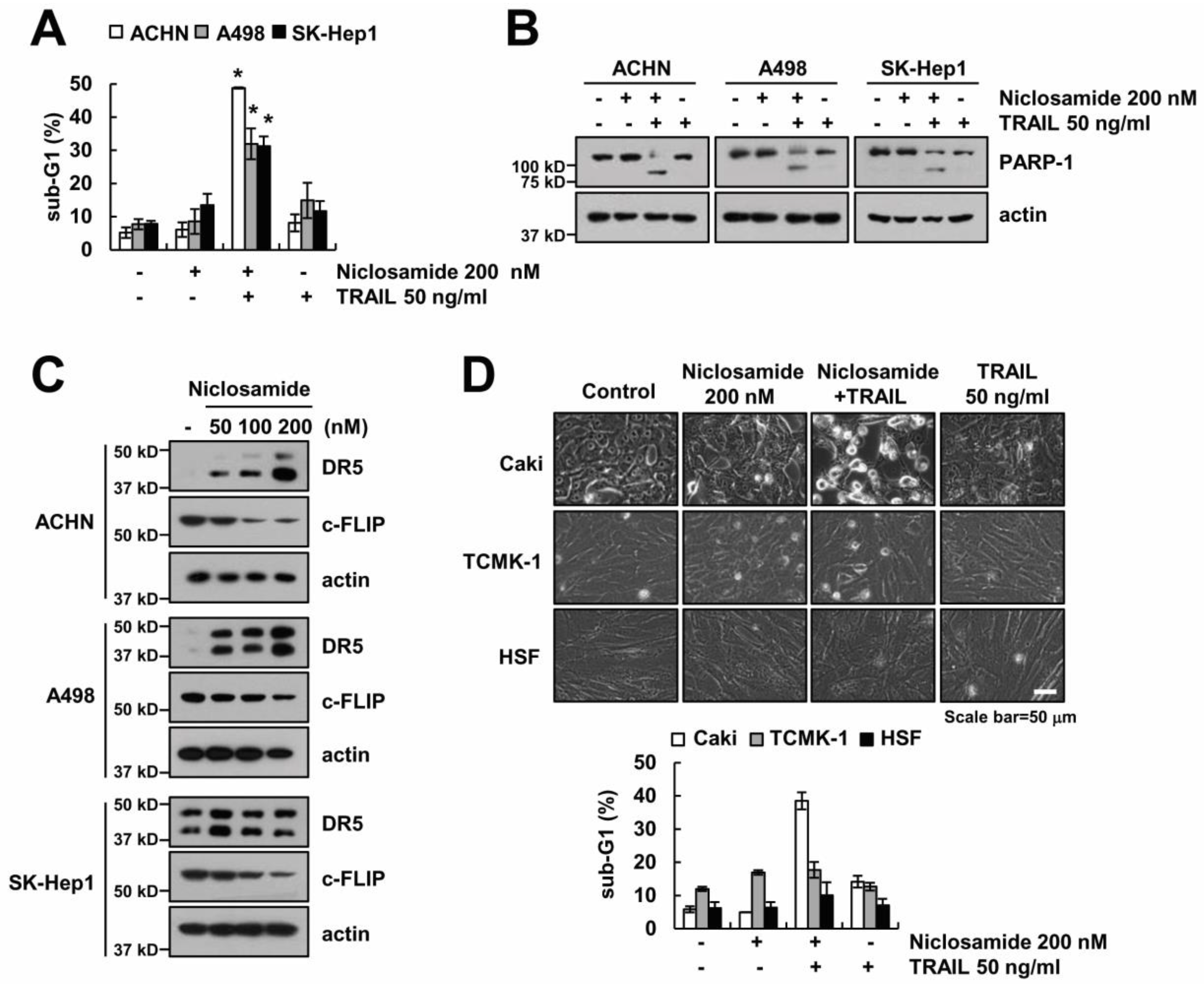 Molecules 23 02264 g005 Molecules 23 02264 g005