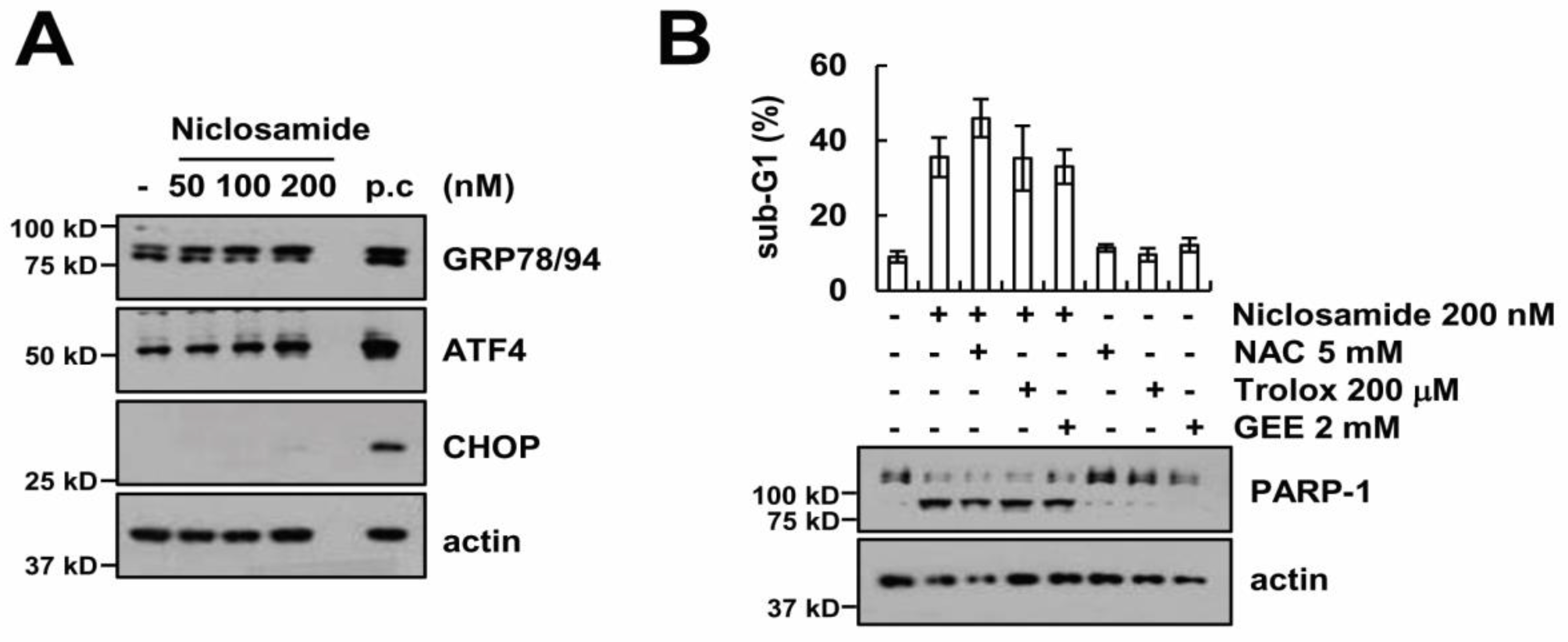 Molecules 23 02264 g006 Molecules 23 02264 g006