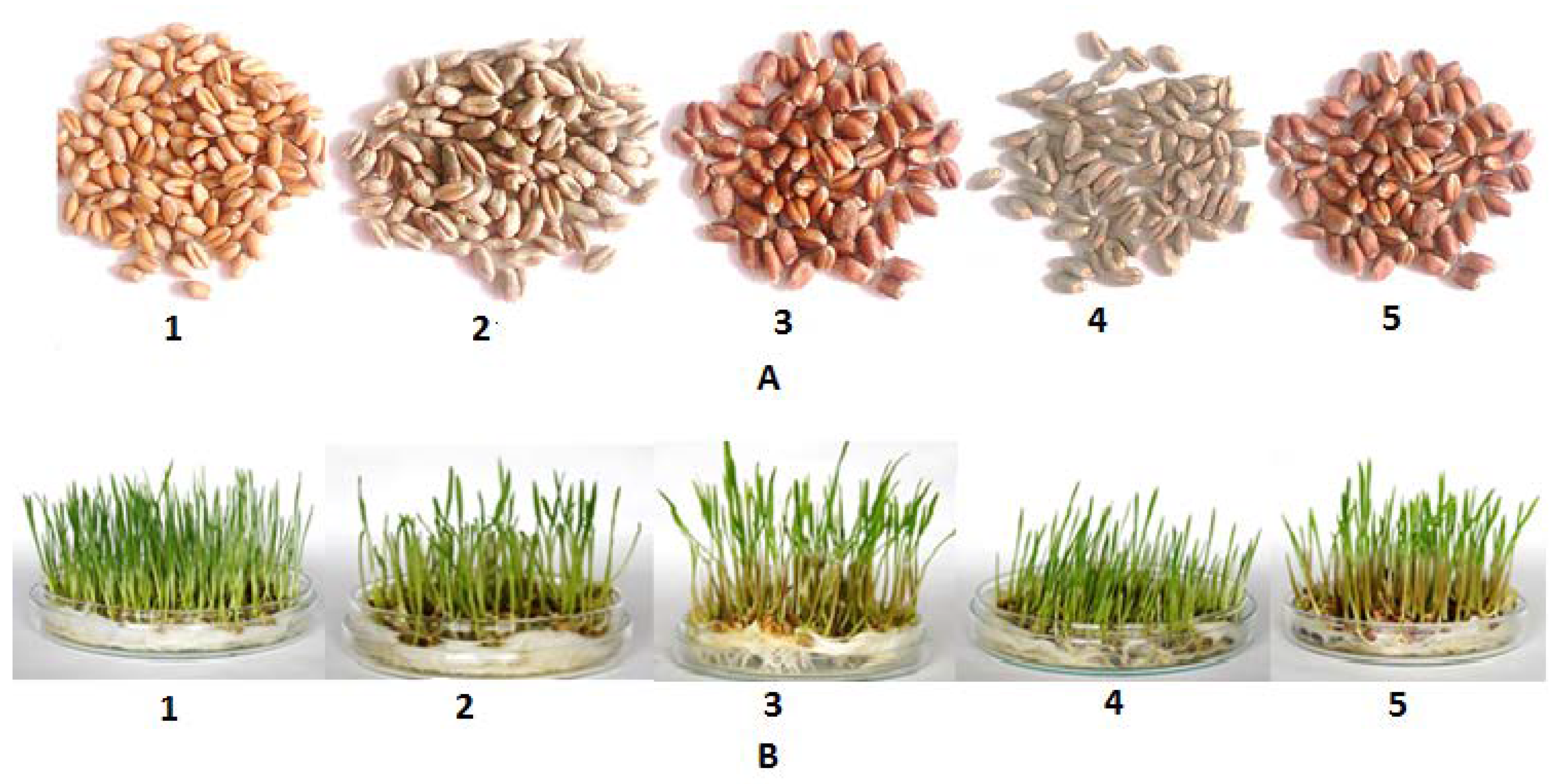 Molecules 23 02282 g006 550