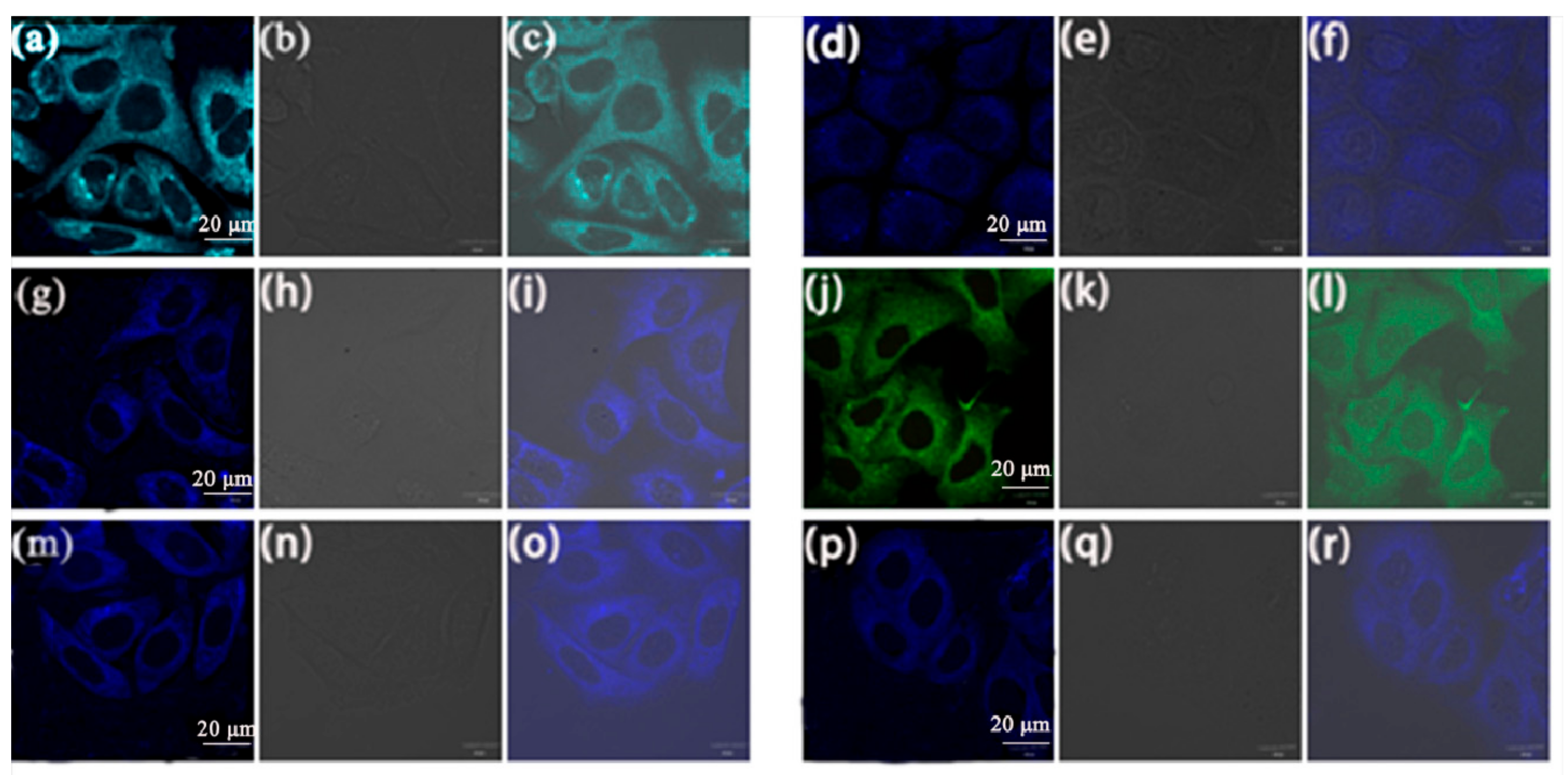 Molecules | Free Full-Text | Rational Design for Multicolor Flavone