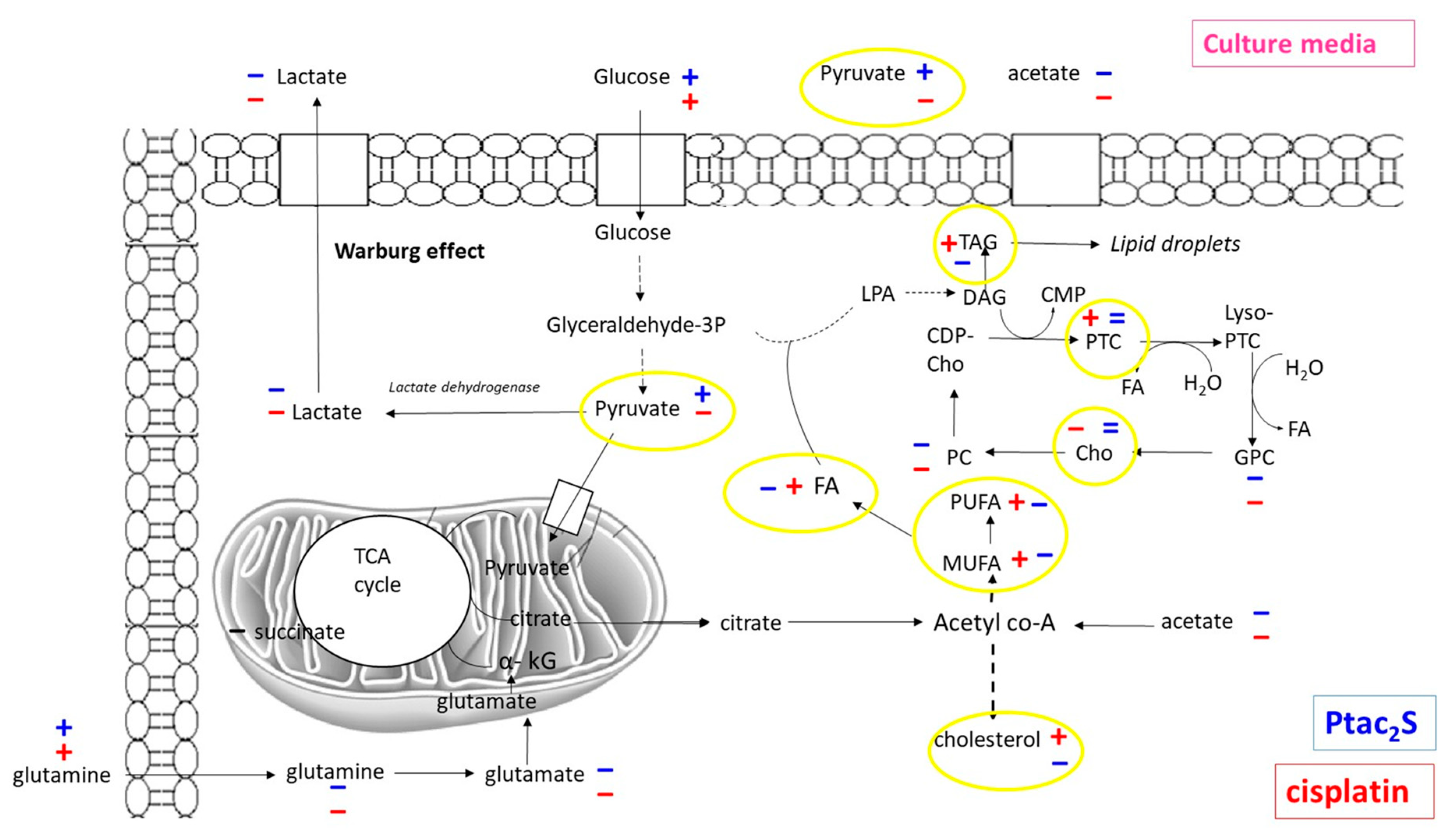 Molecules 23 02301 g012