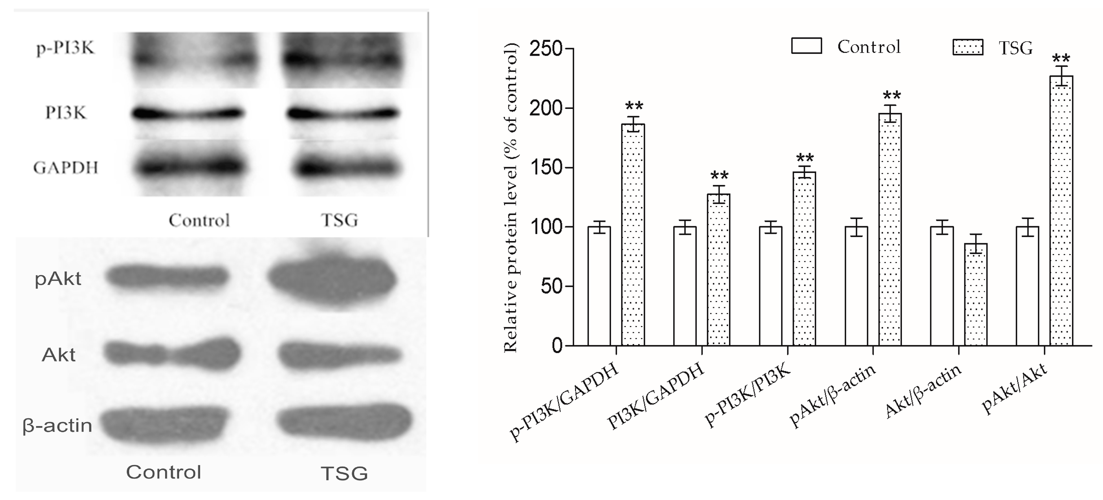 Molecules 23 02306 g006