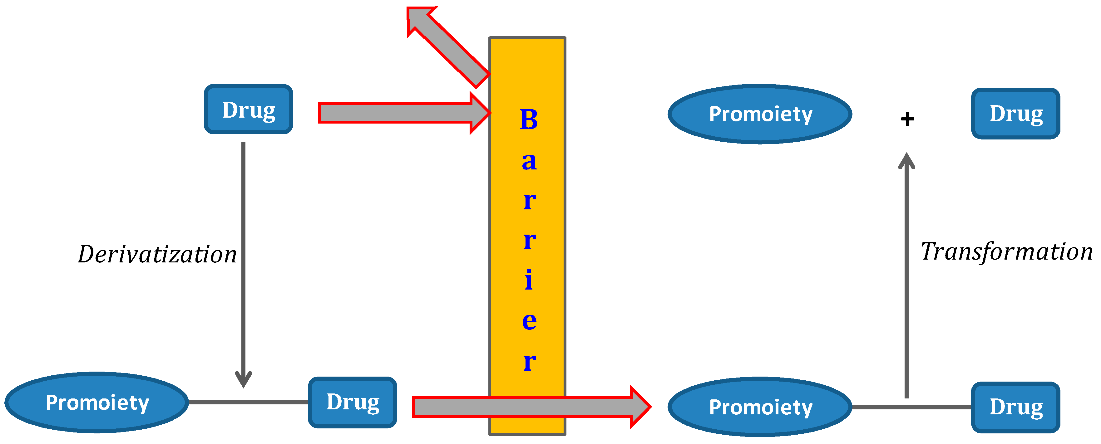 Synthesis and in Vitro Pharmacology of Substituted  Quinoline-2,4-dicarboxylic Acids as Inhibitors of Vesicular Glutamate  Transport