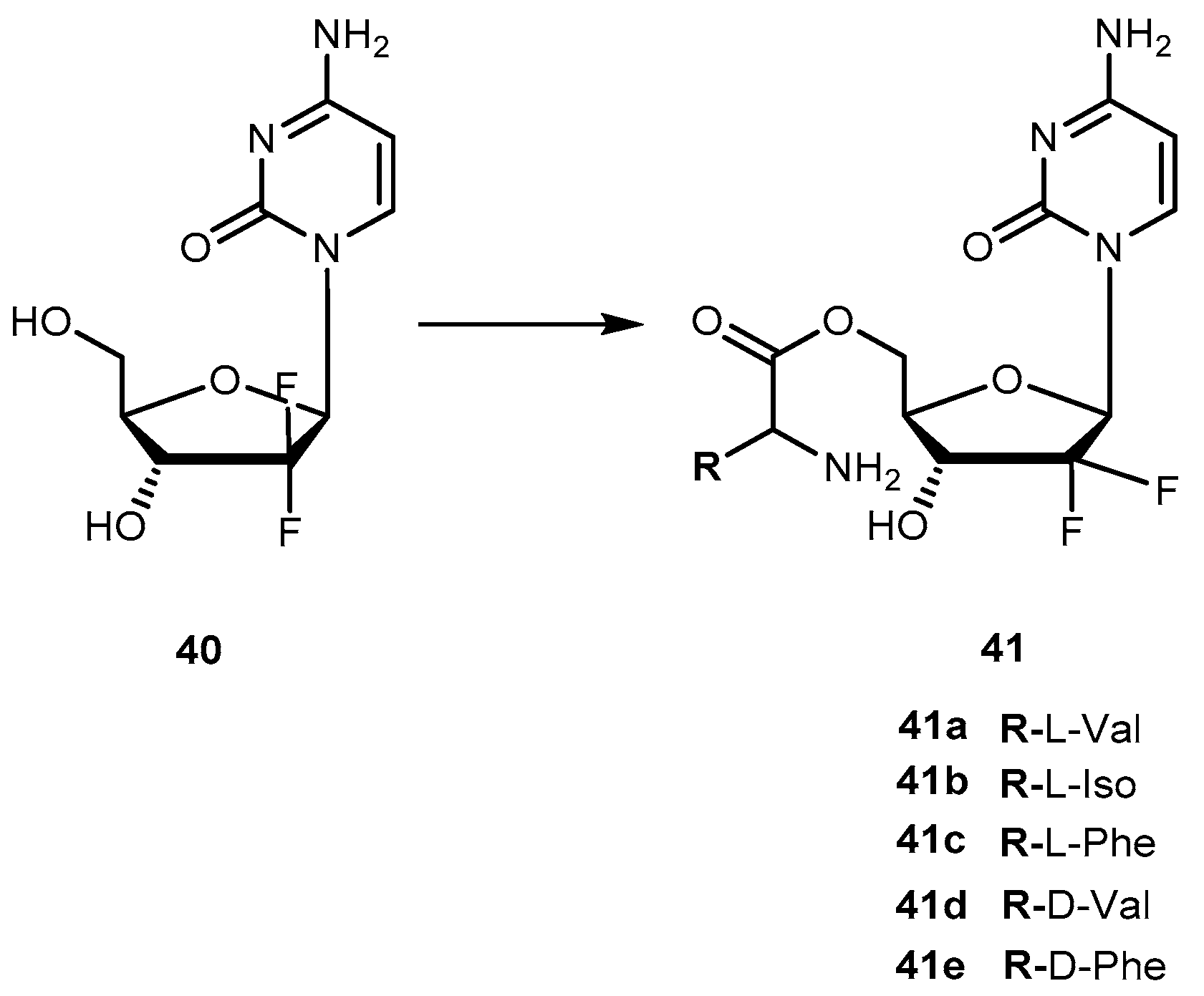 Molecules Free Full Text Amino Acids In The Development Of