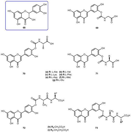 prostate adenocarcinoma outlines