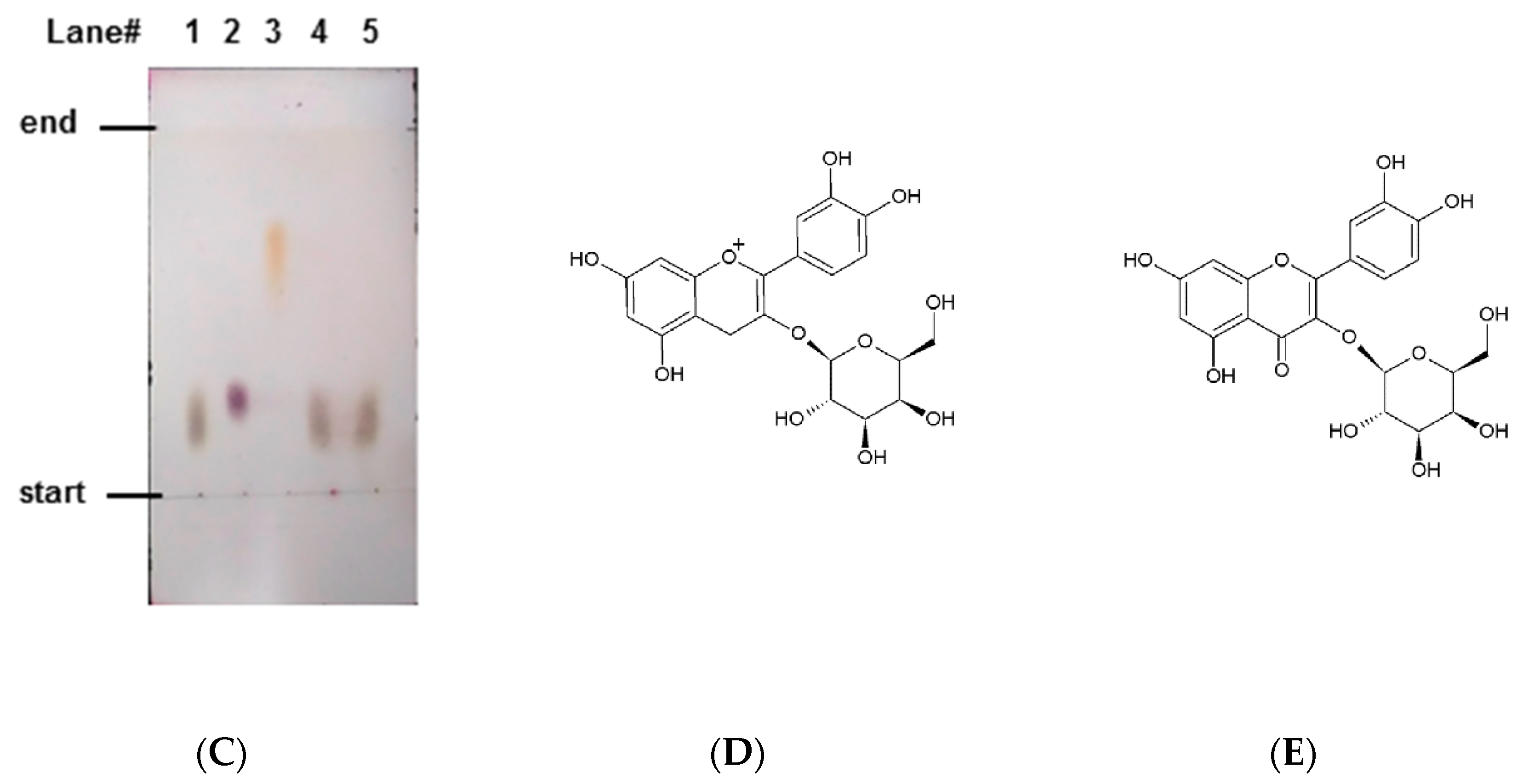 Molecules 23 02319 g003b