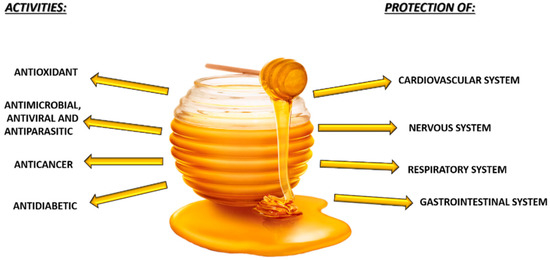 Honey 101: Nutrition Facts, Health Benefits, Types, and More