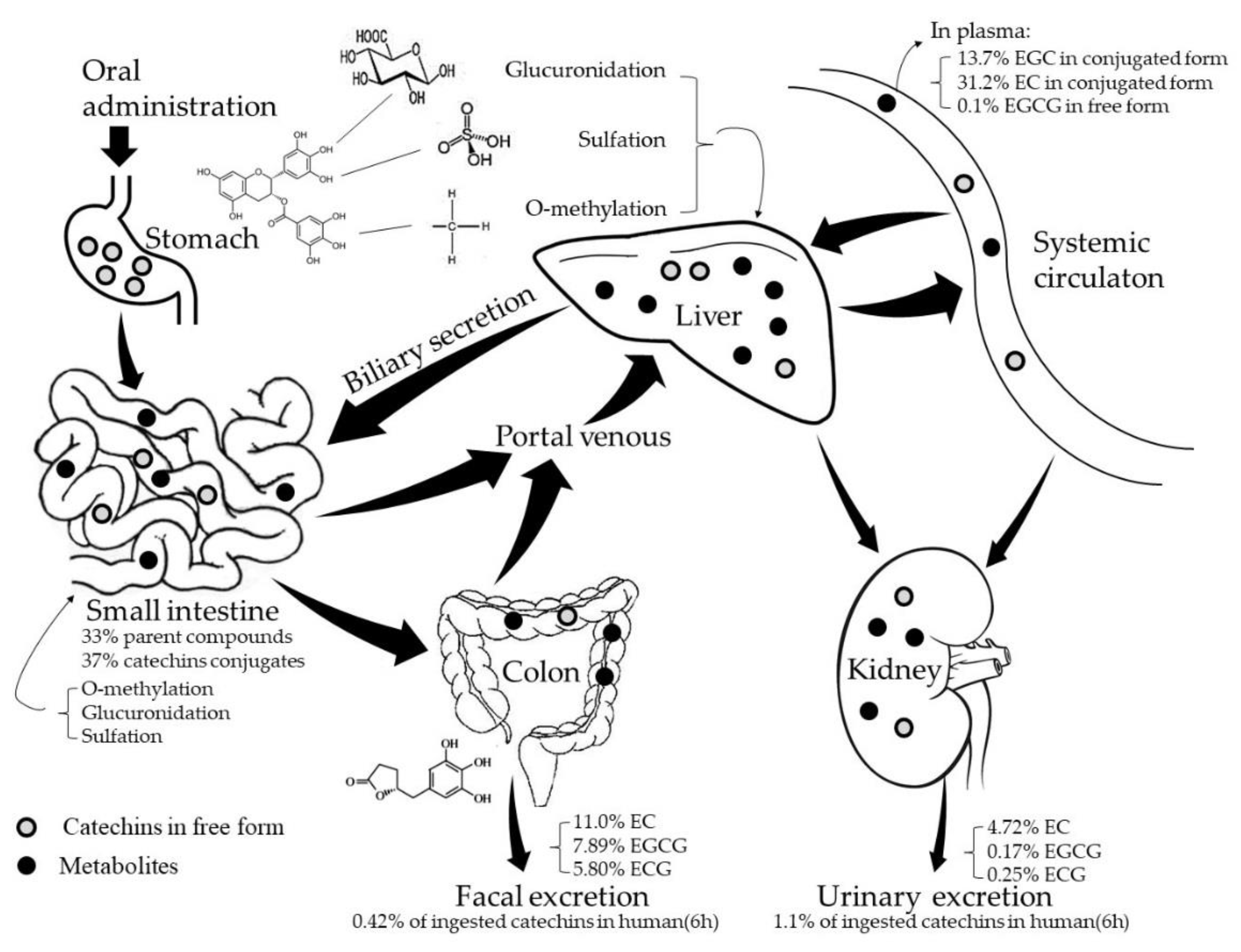 Molecules 23 02346 g001 Molecules 23 02346 g001