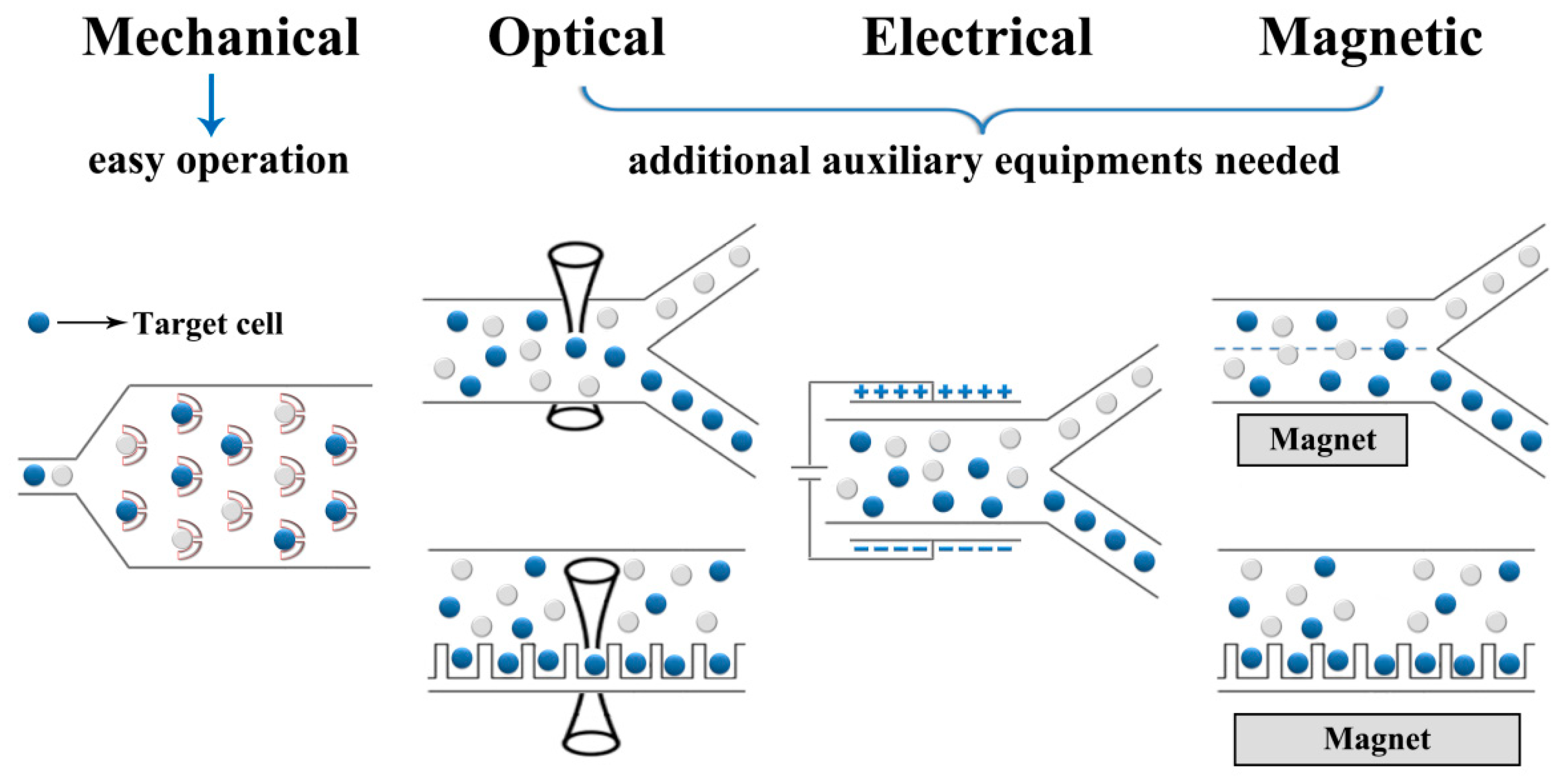 Molecules 23 02347 g002