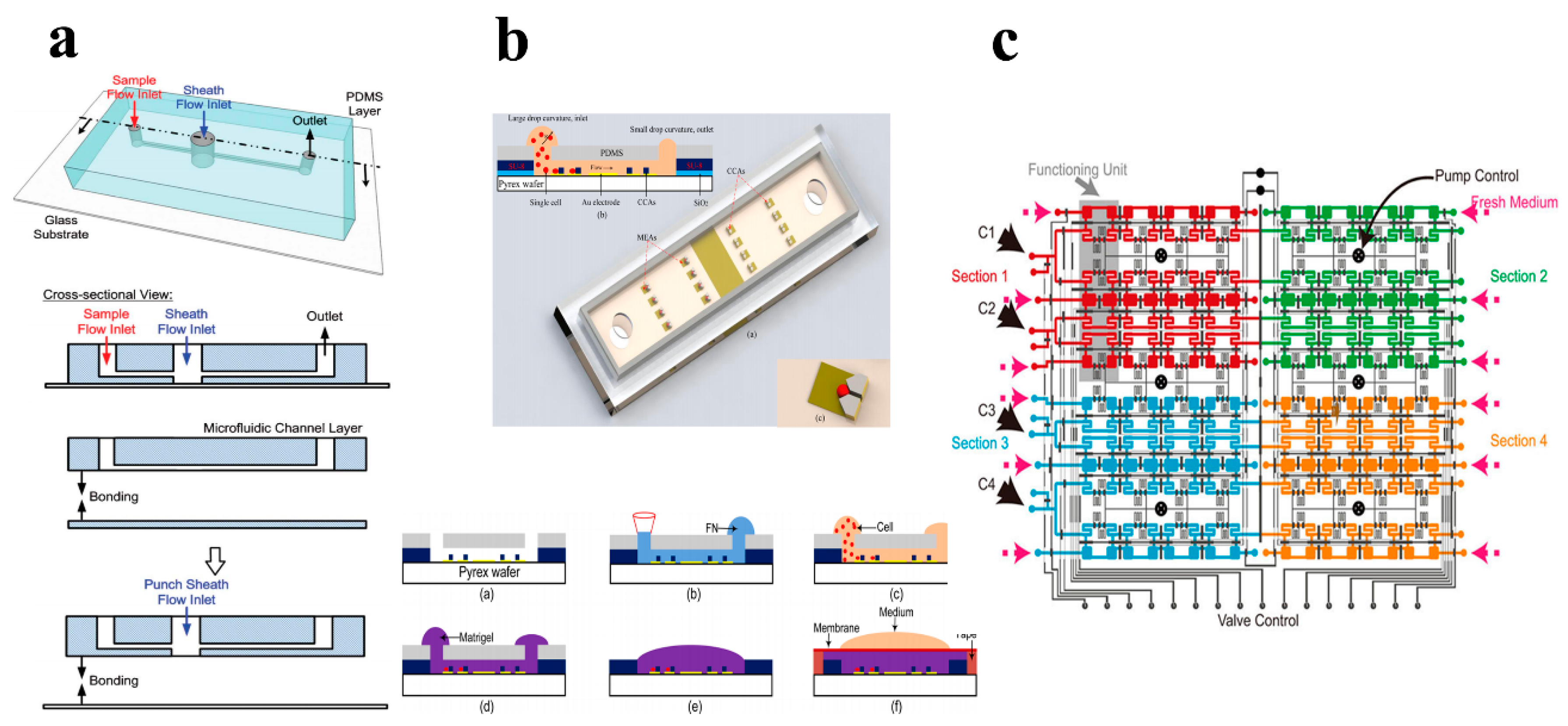 Molecules 23 02347 g004
