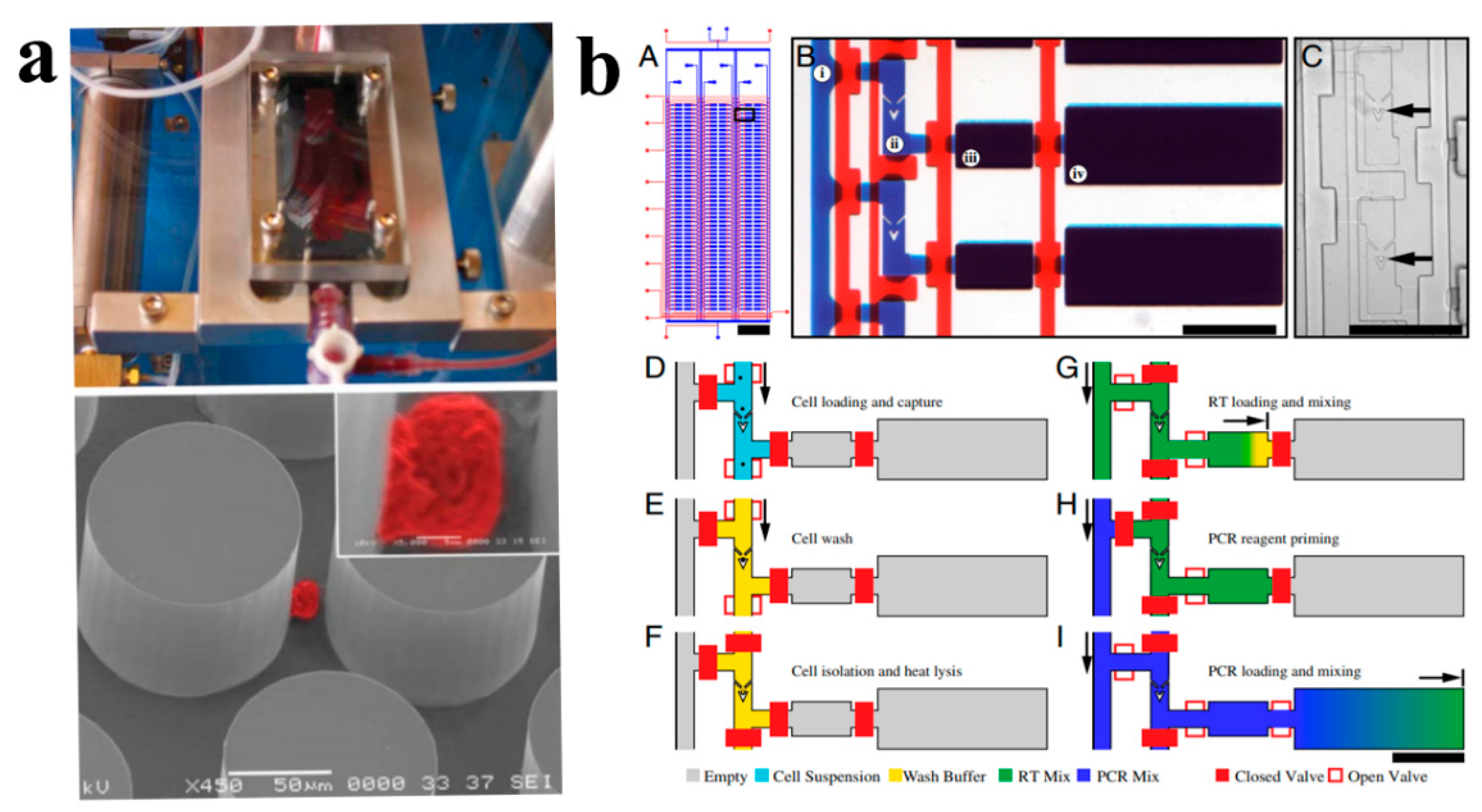 Molecules 23 02347 g005