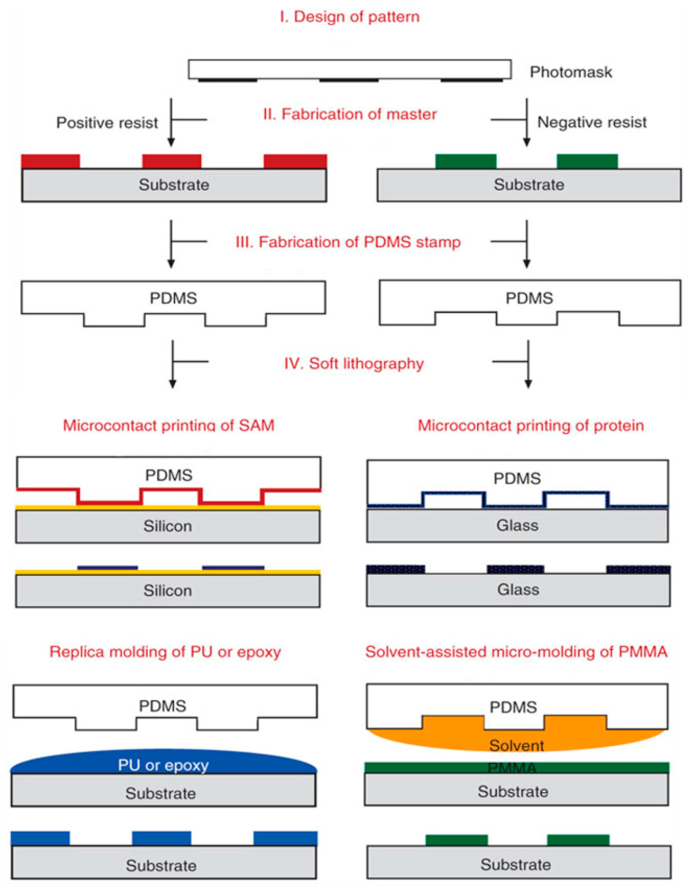 Molecules 23 02347 g009