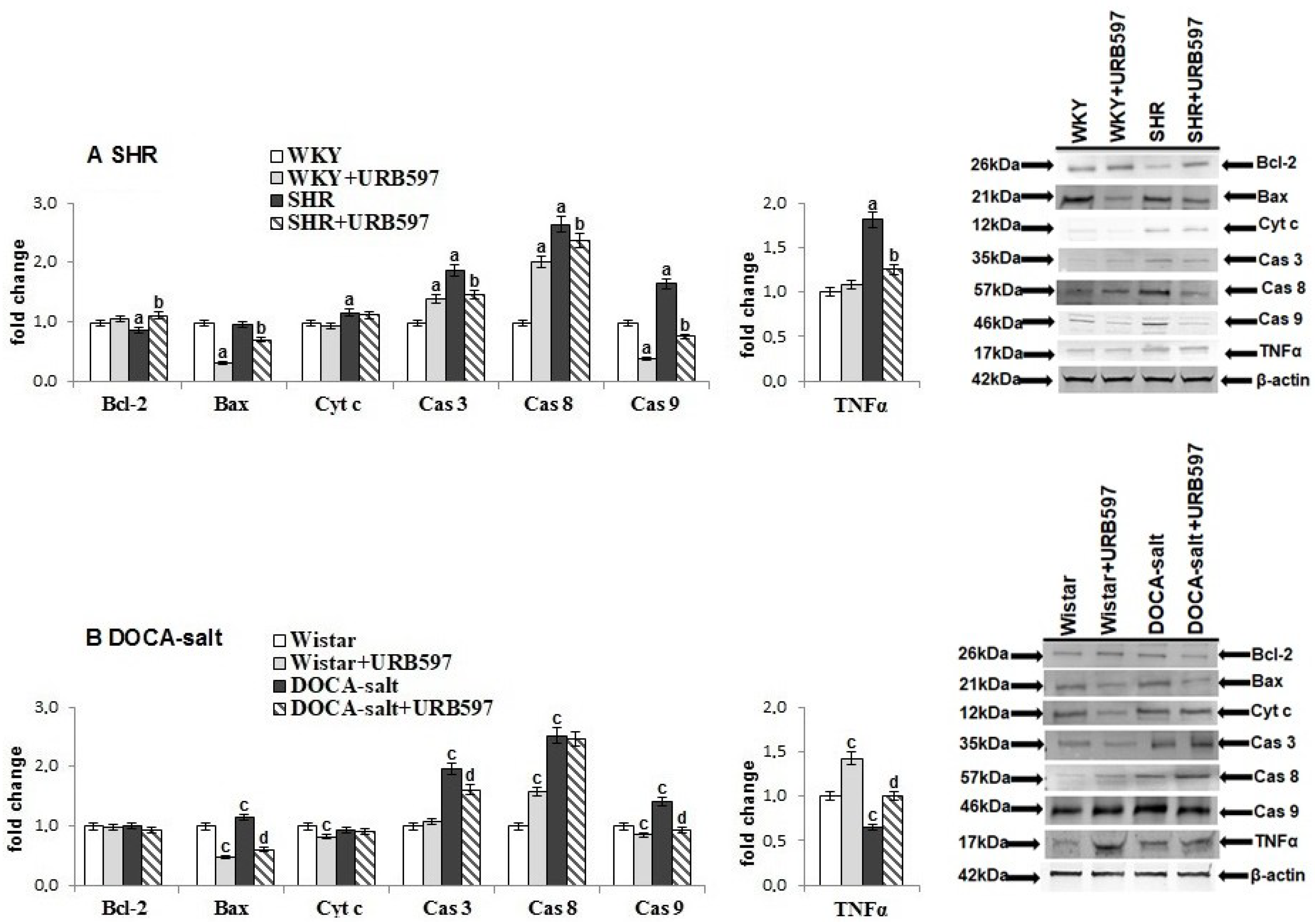 Molecules 23 02350 g004