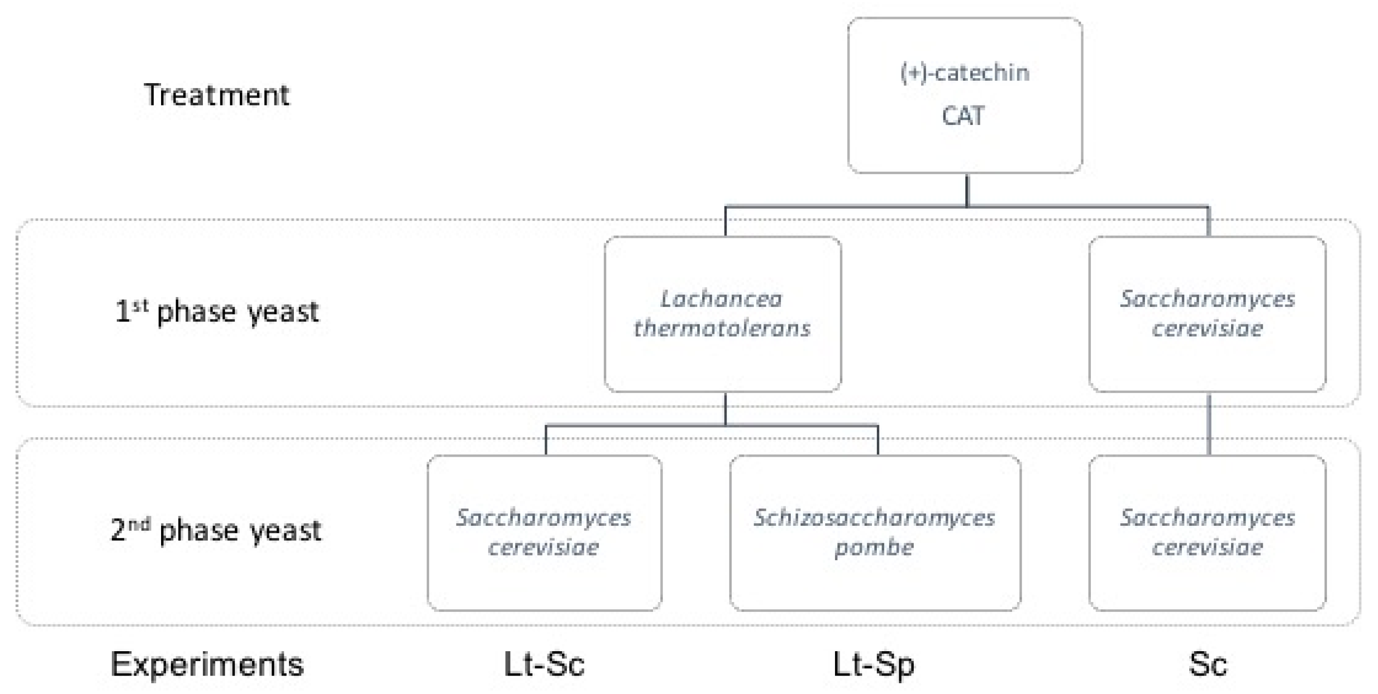 Molecules 23 02353 g003
