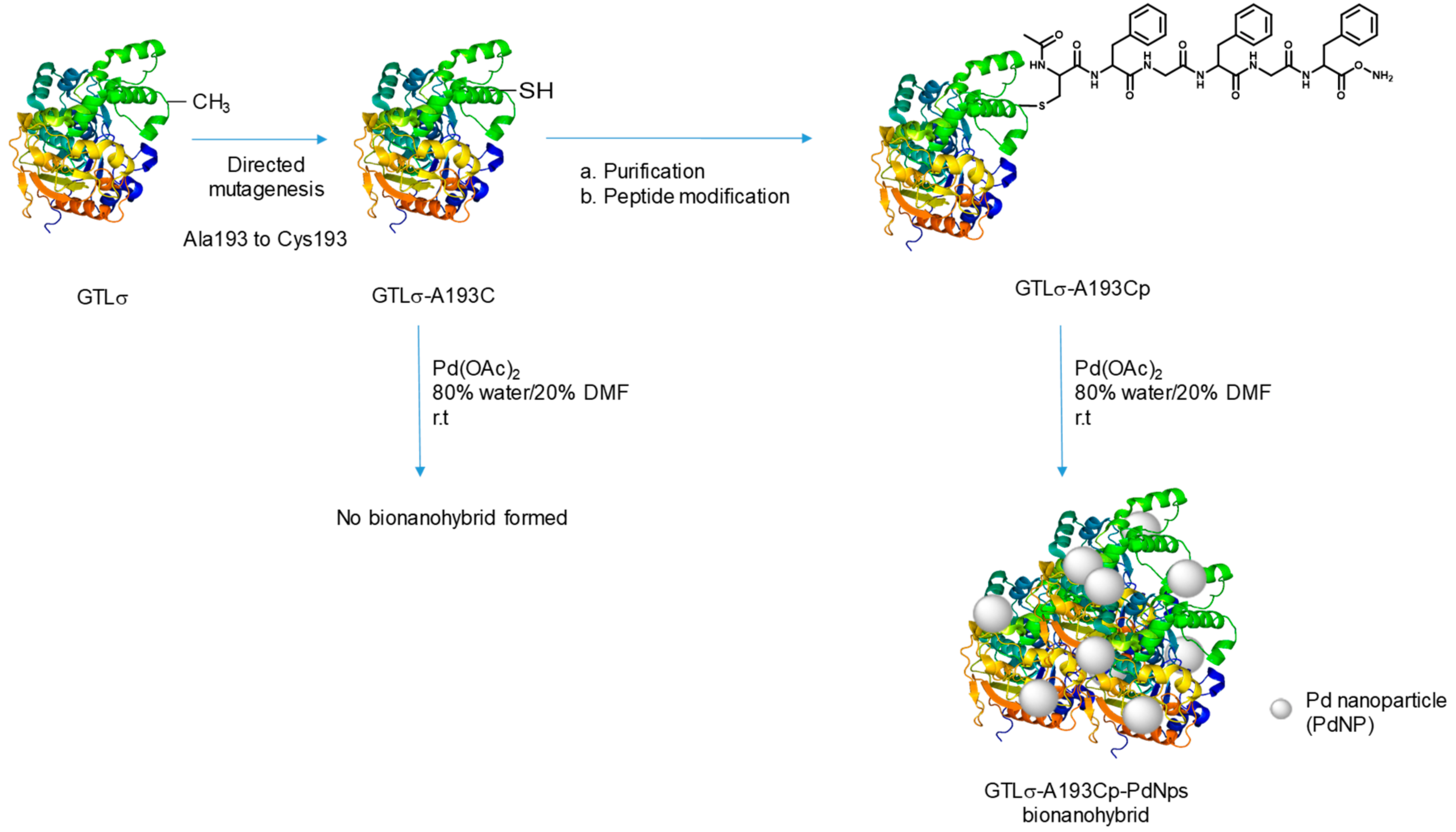 Molecules 23 02358 g002