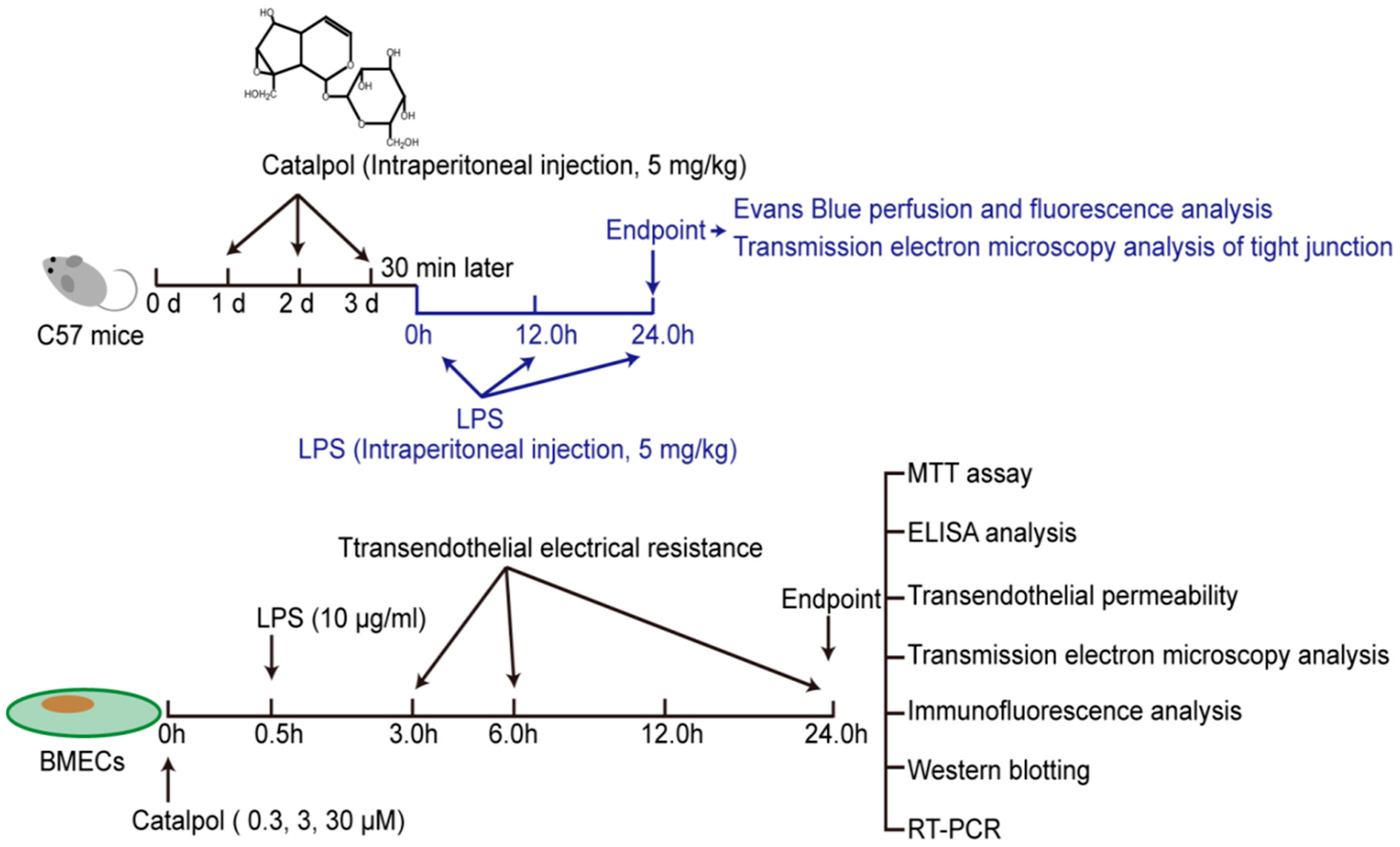 Molecules 23 02371 g002 Molecules 23 02371 g002