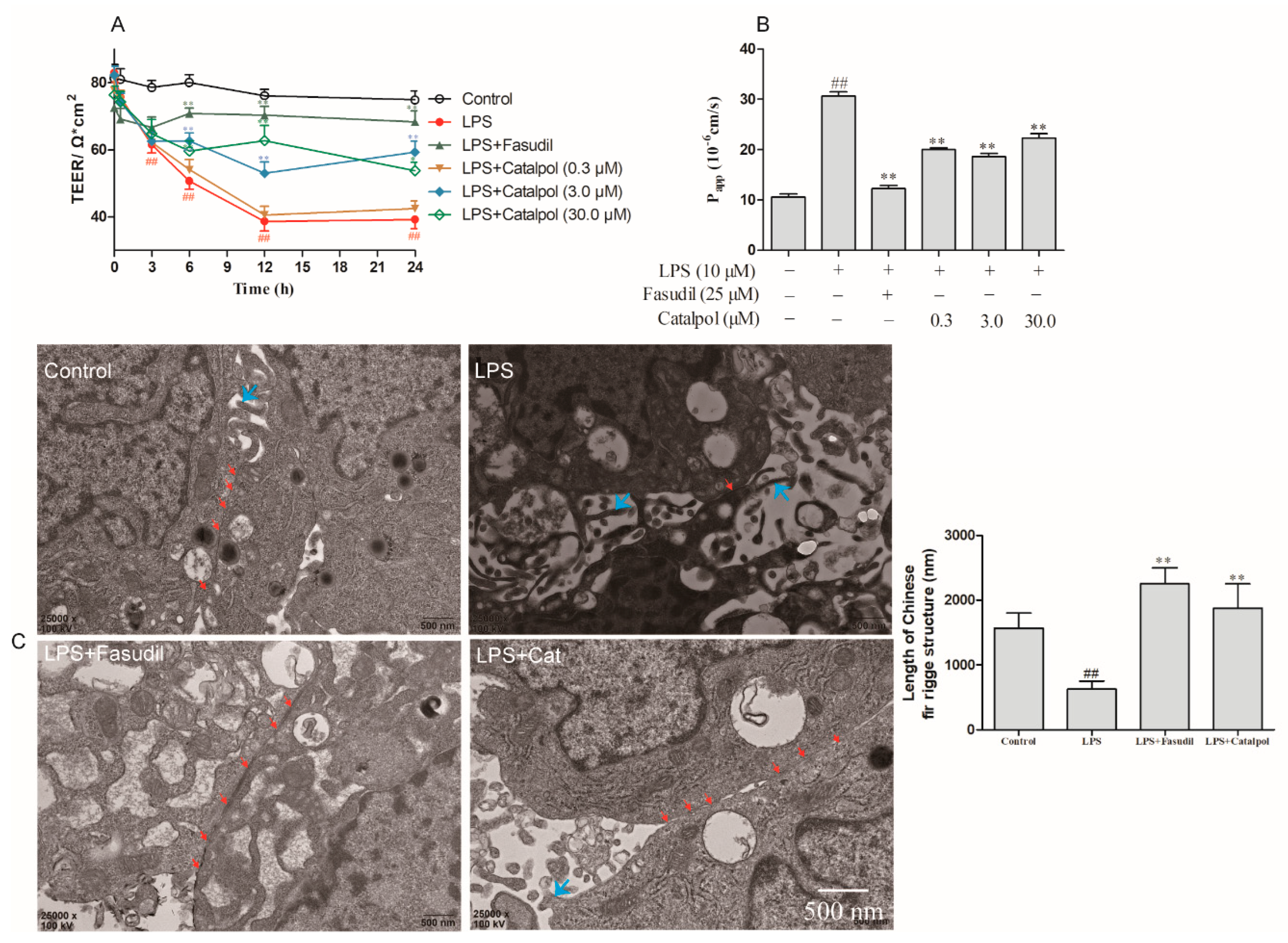 Molecules 23 02371 g005 Molecules 23 02371 g005