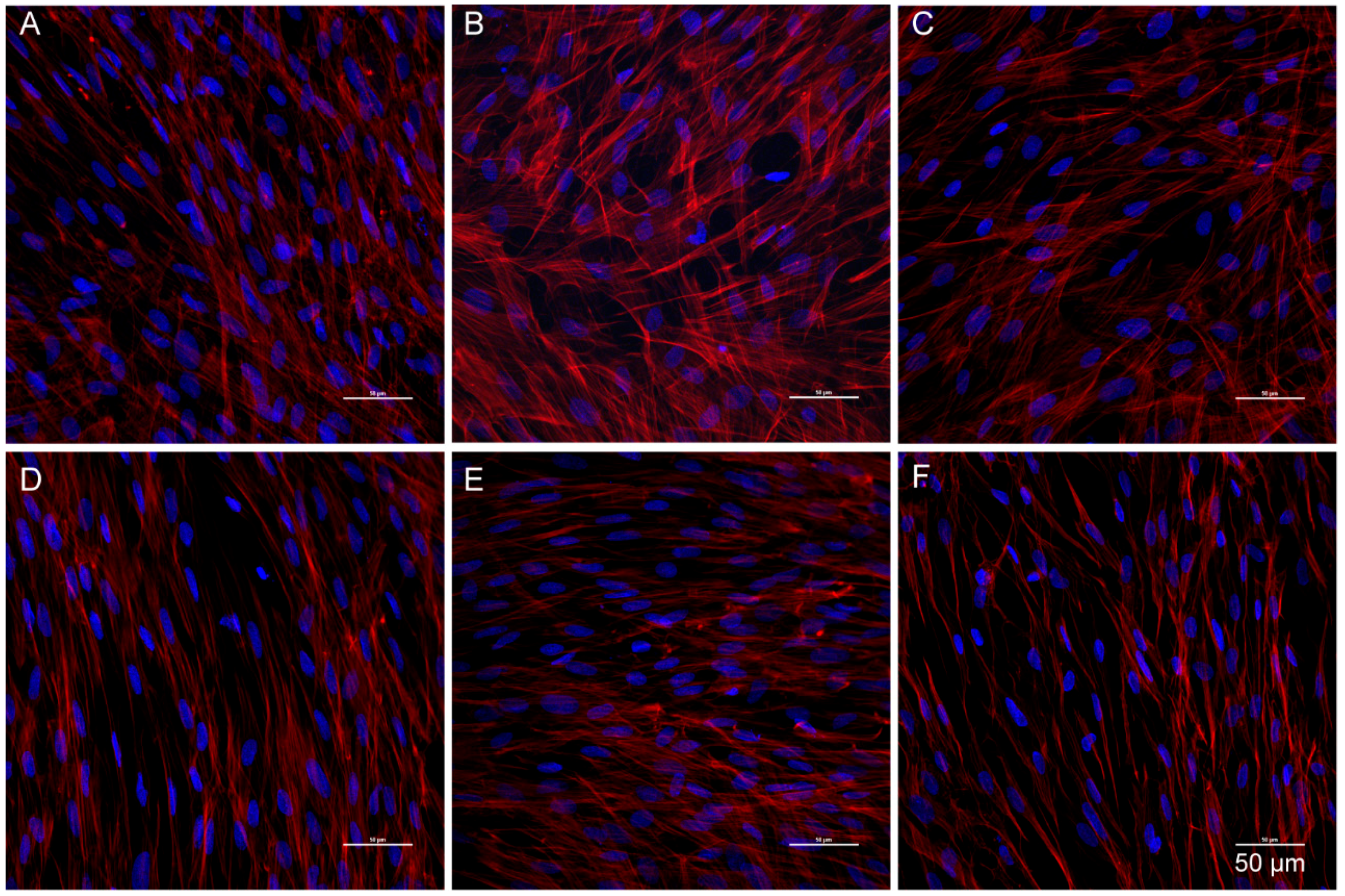 Molecules 23 02371 g006 Molecules 23 02371 g006