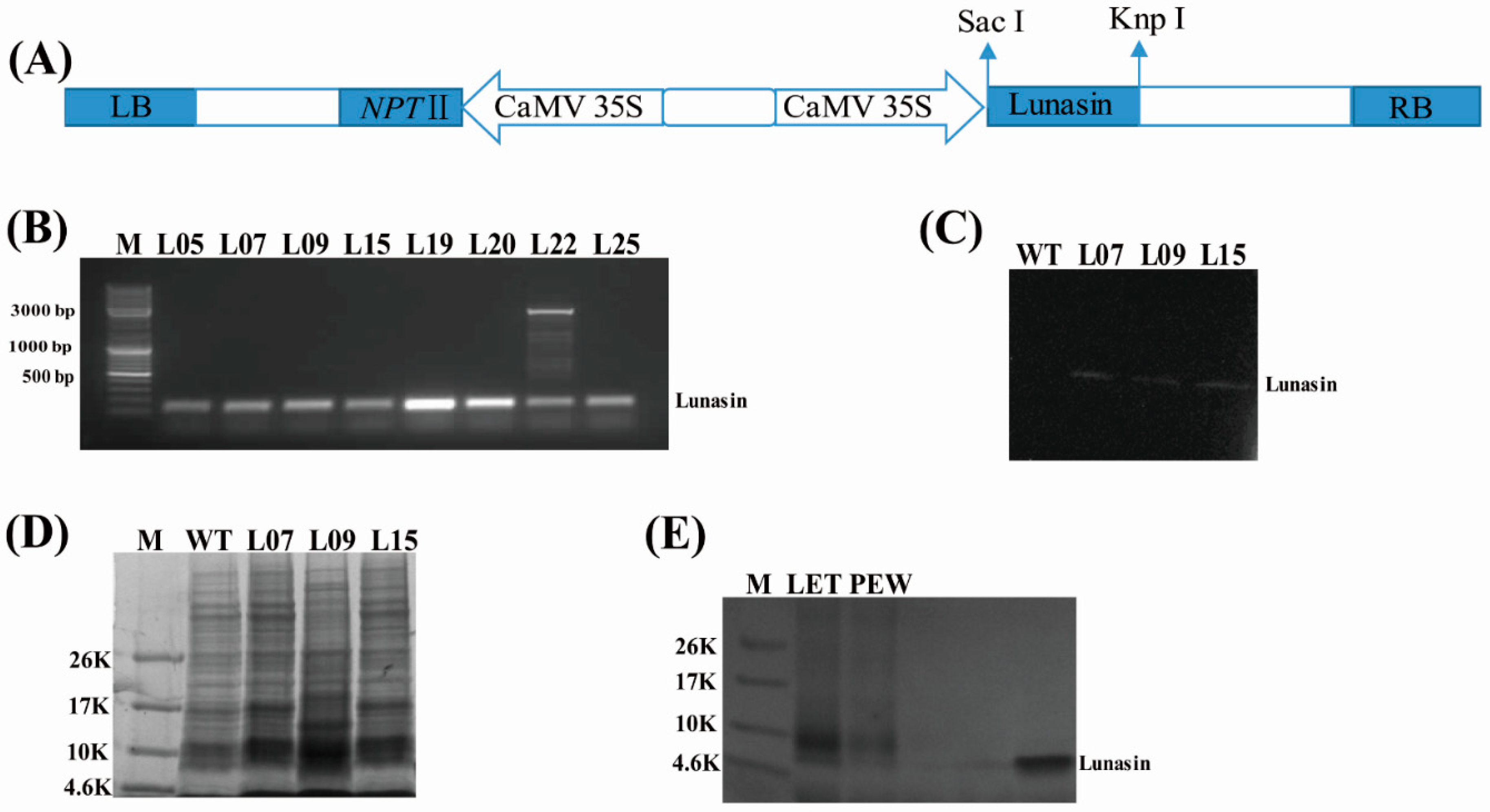 Molecules 23 02373 g001 550