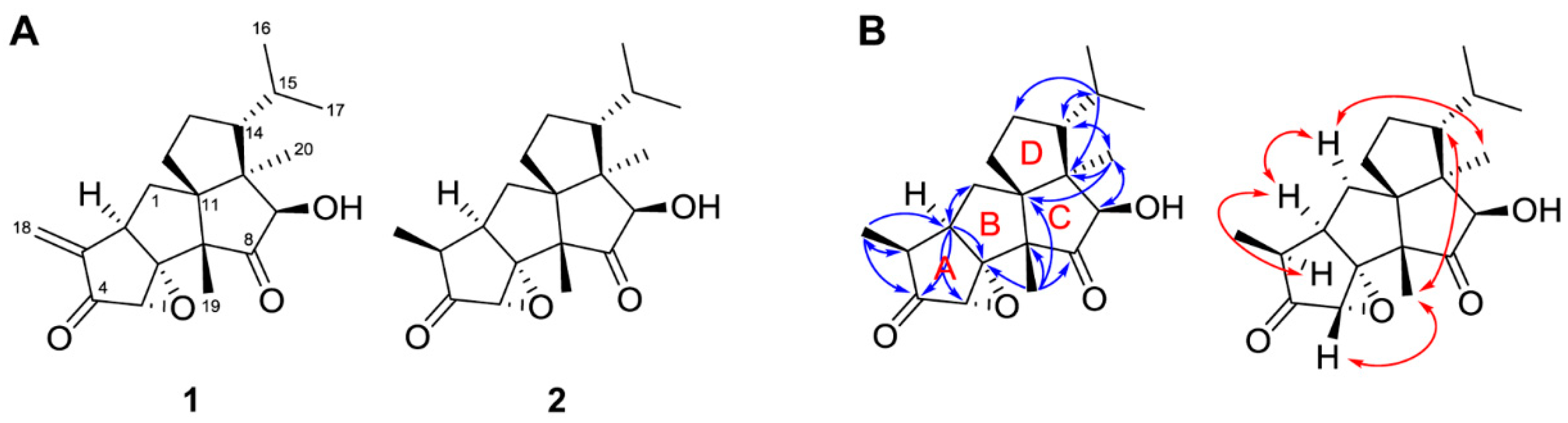Molecules 23 02377 g005