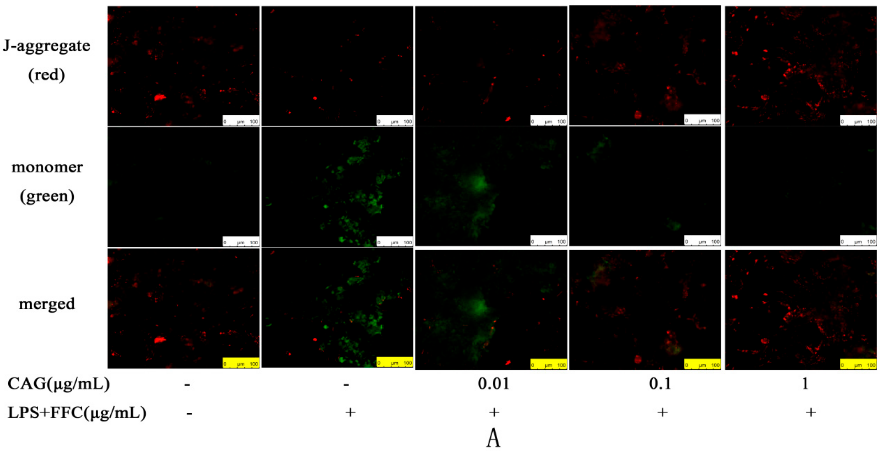Molecules 23 02378 g003a