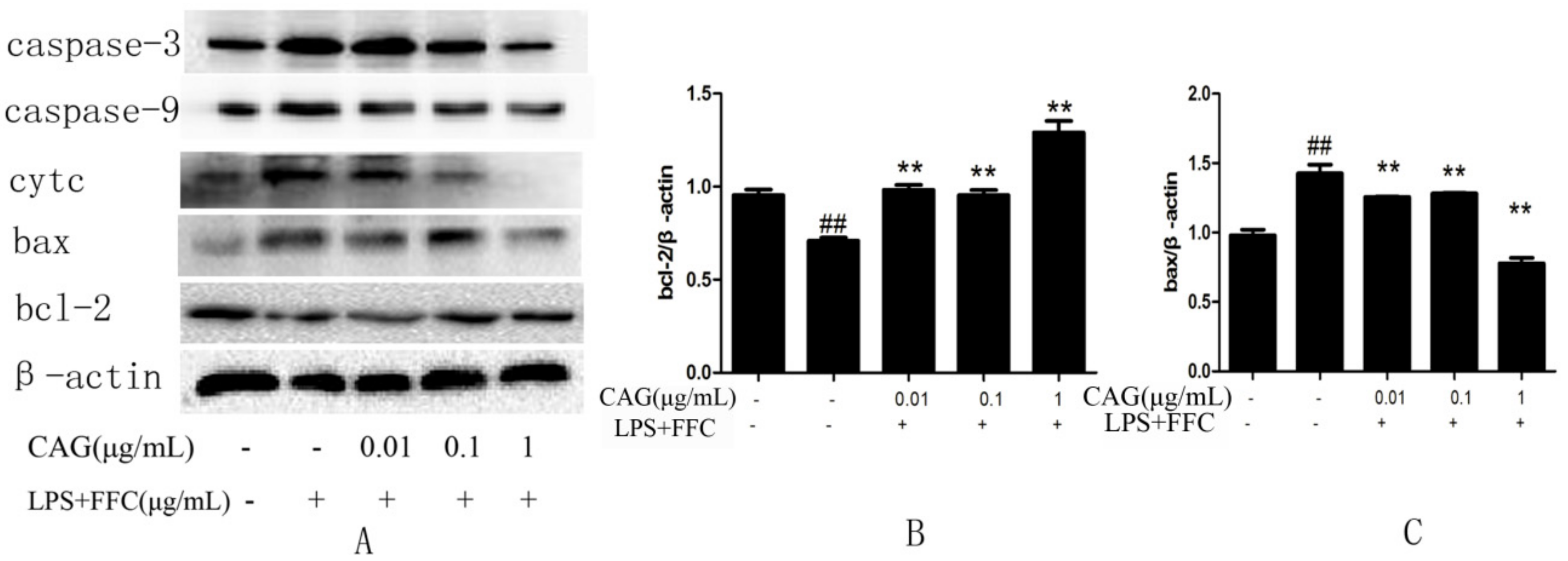 Molecules 23 02378 g005a