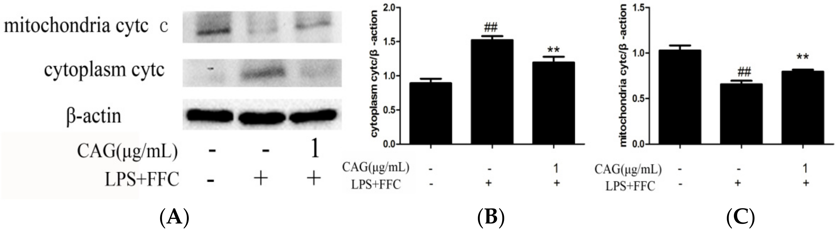 Molecules 23 02378 g006