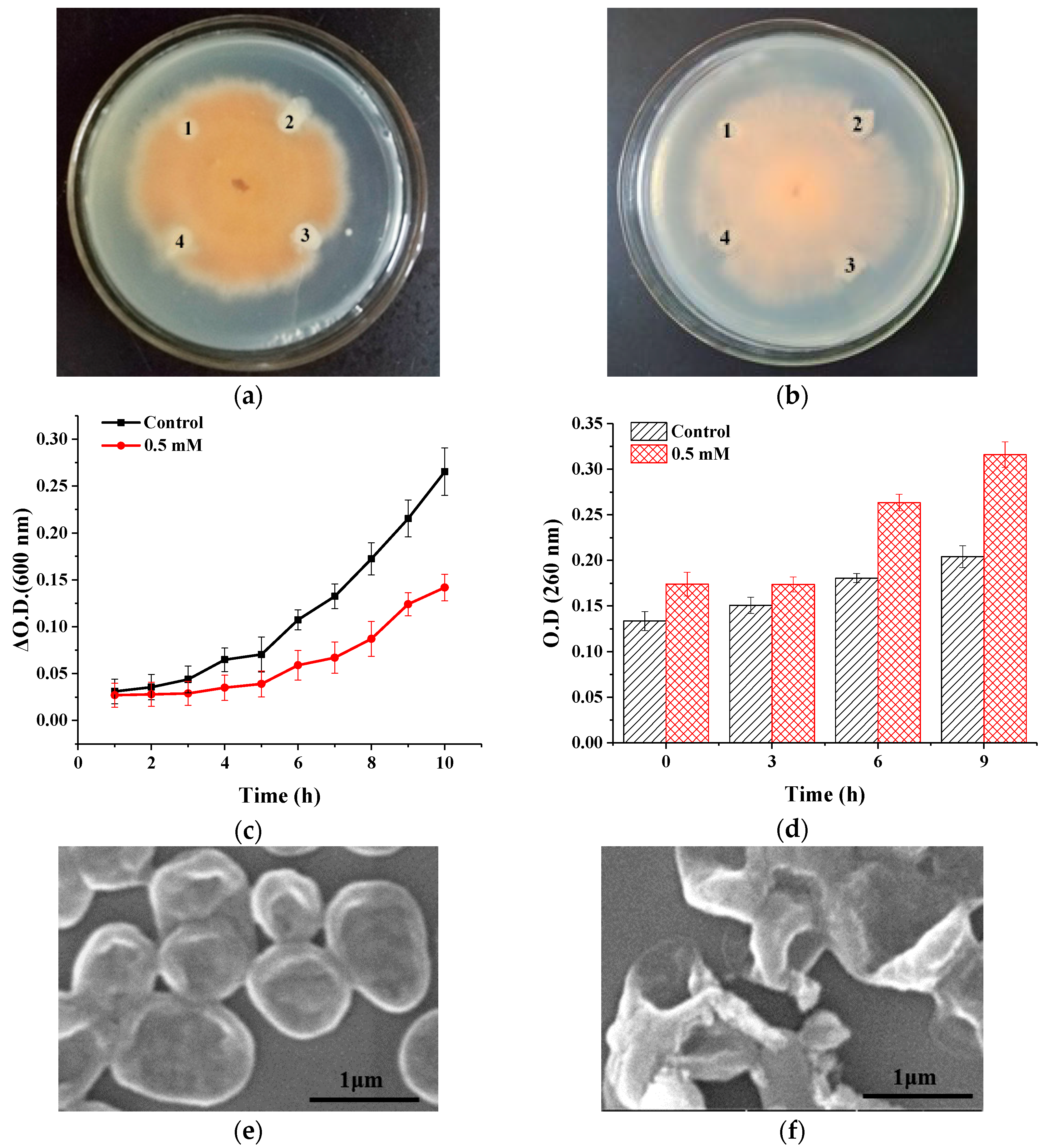 Molecules 23 02388 g007a Molecules 23 02388 g007a