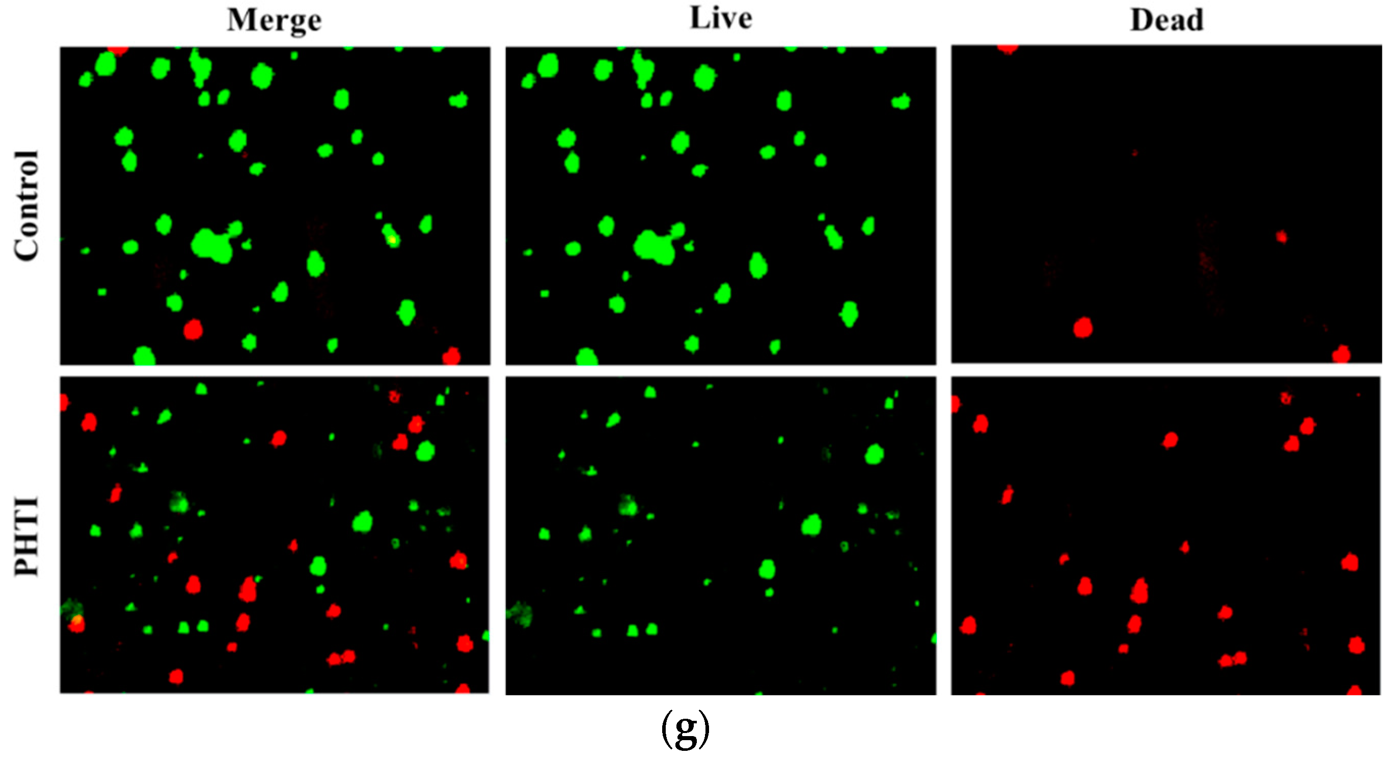Molecules 23 02388 g007b Molecules 23 02388 g007b