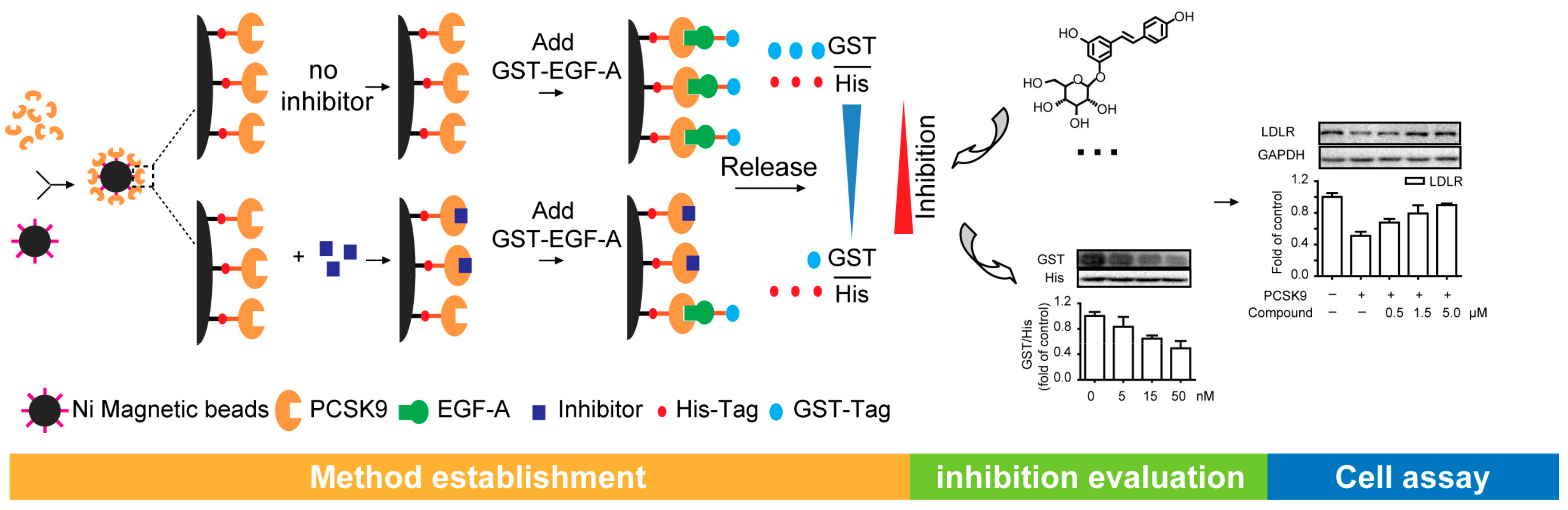 Molecules 23 02397 g001
