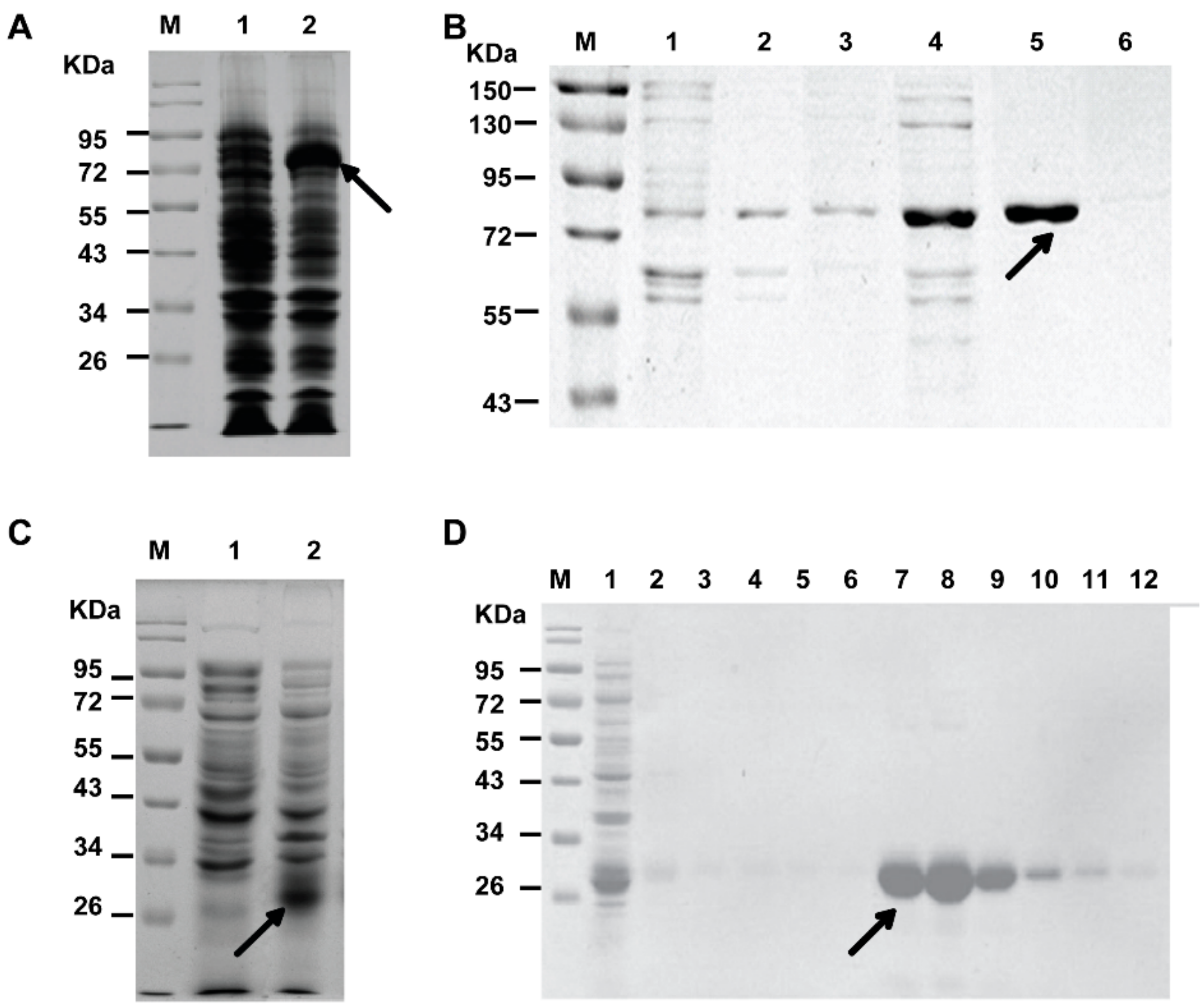 Molecules 23 02397 g002