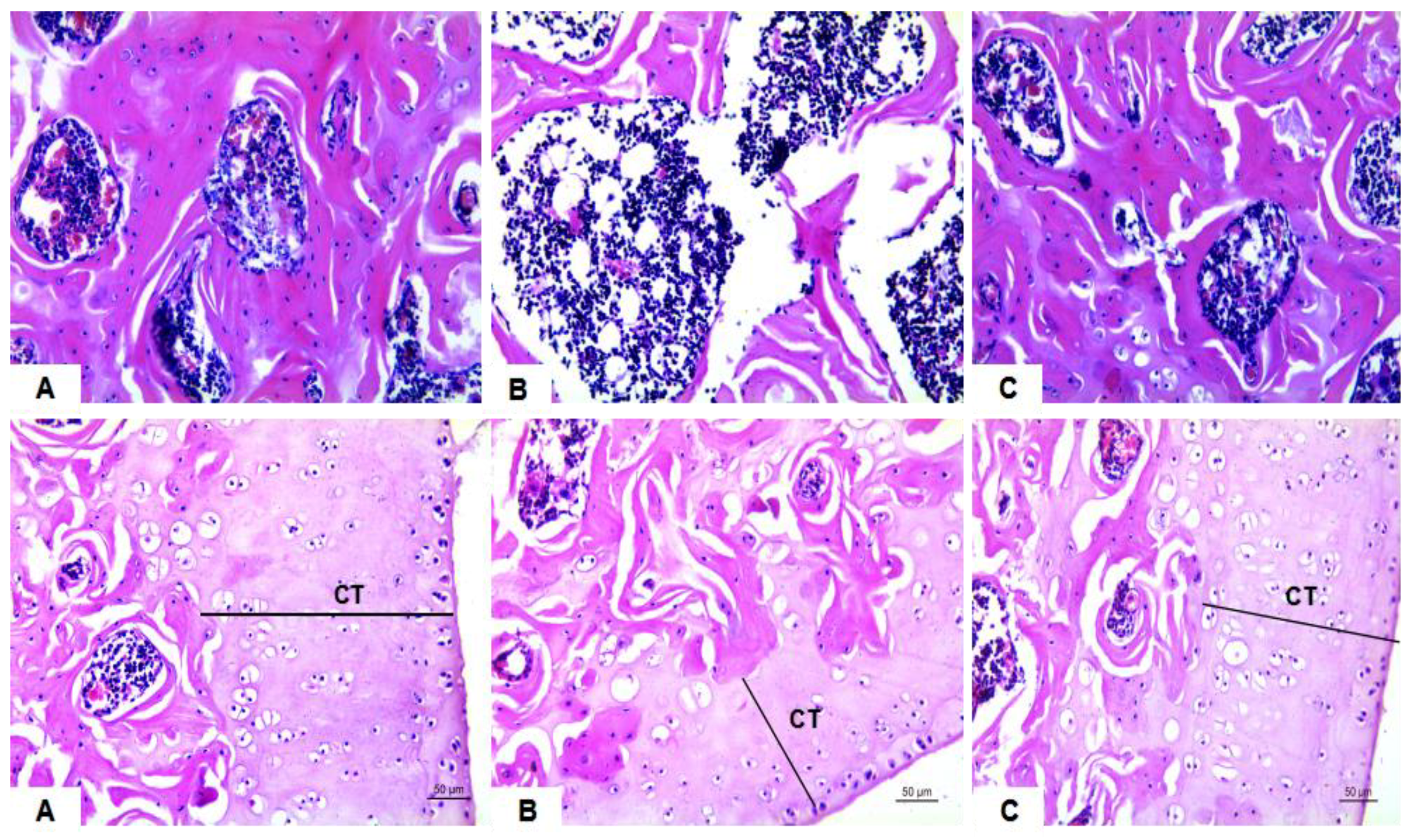 Molecules 23 02398 g003 Molecules 23 02398 g003