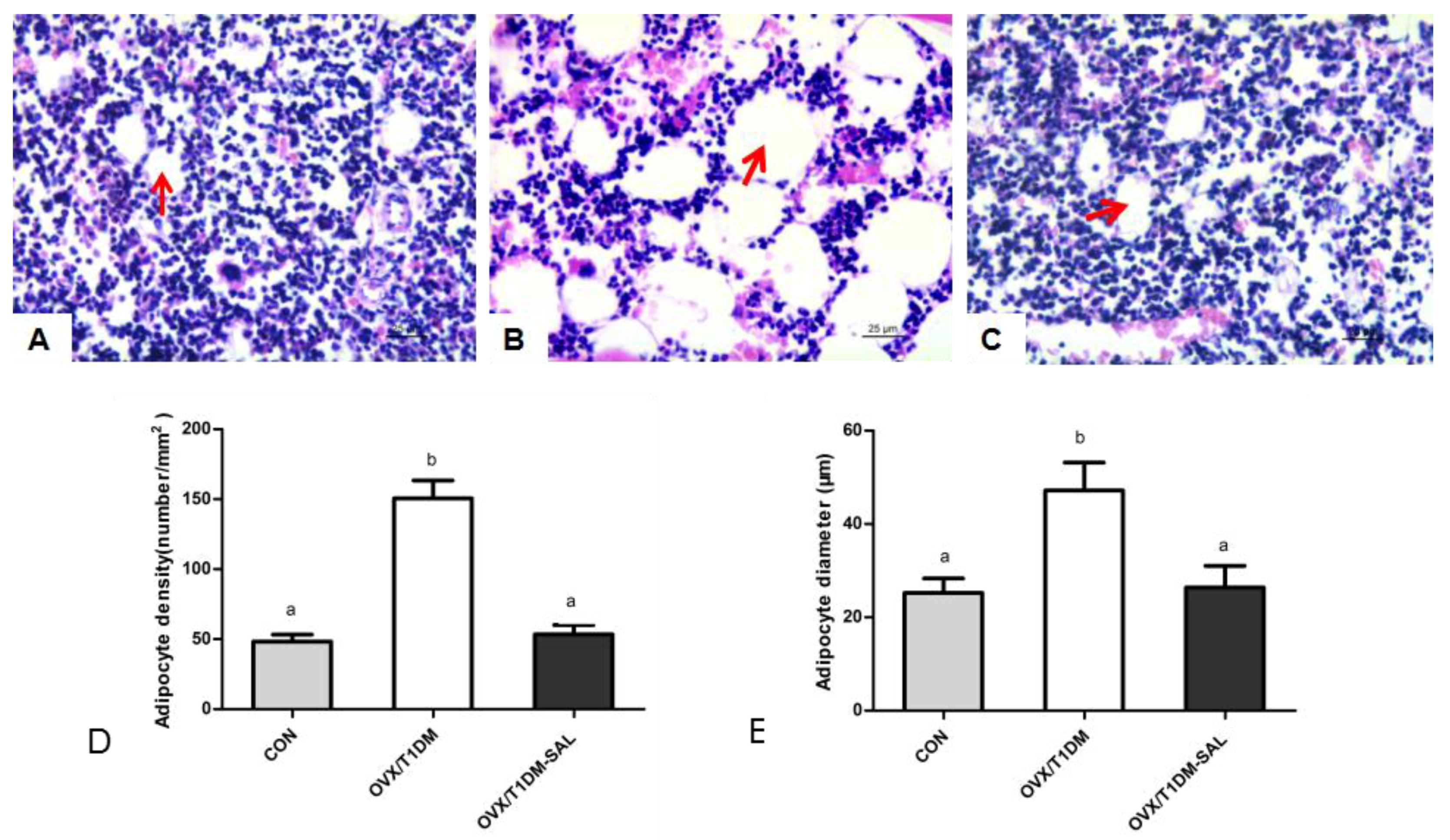 Molecules 23 02398 g005 Molecules 23 02398 g005