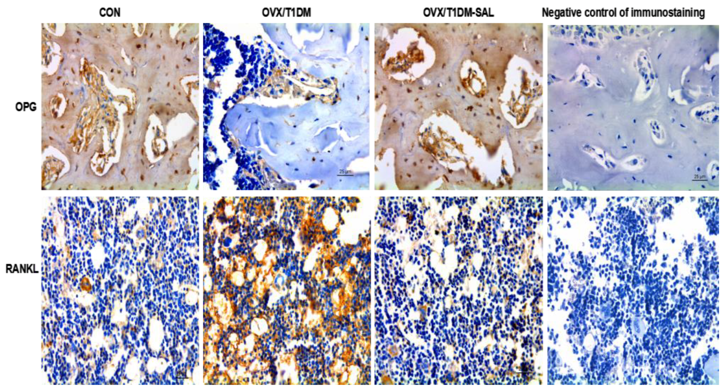 Molecules 23 02398 g007 Molecules 23 02398 g007