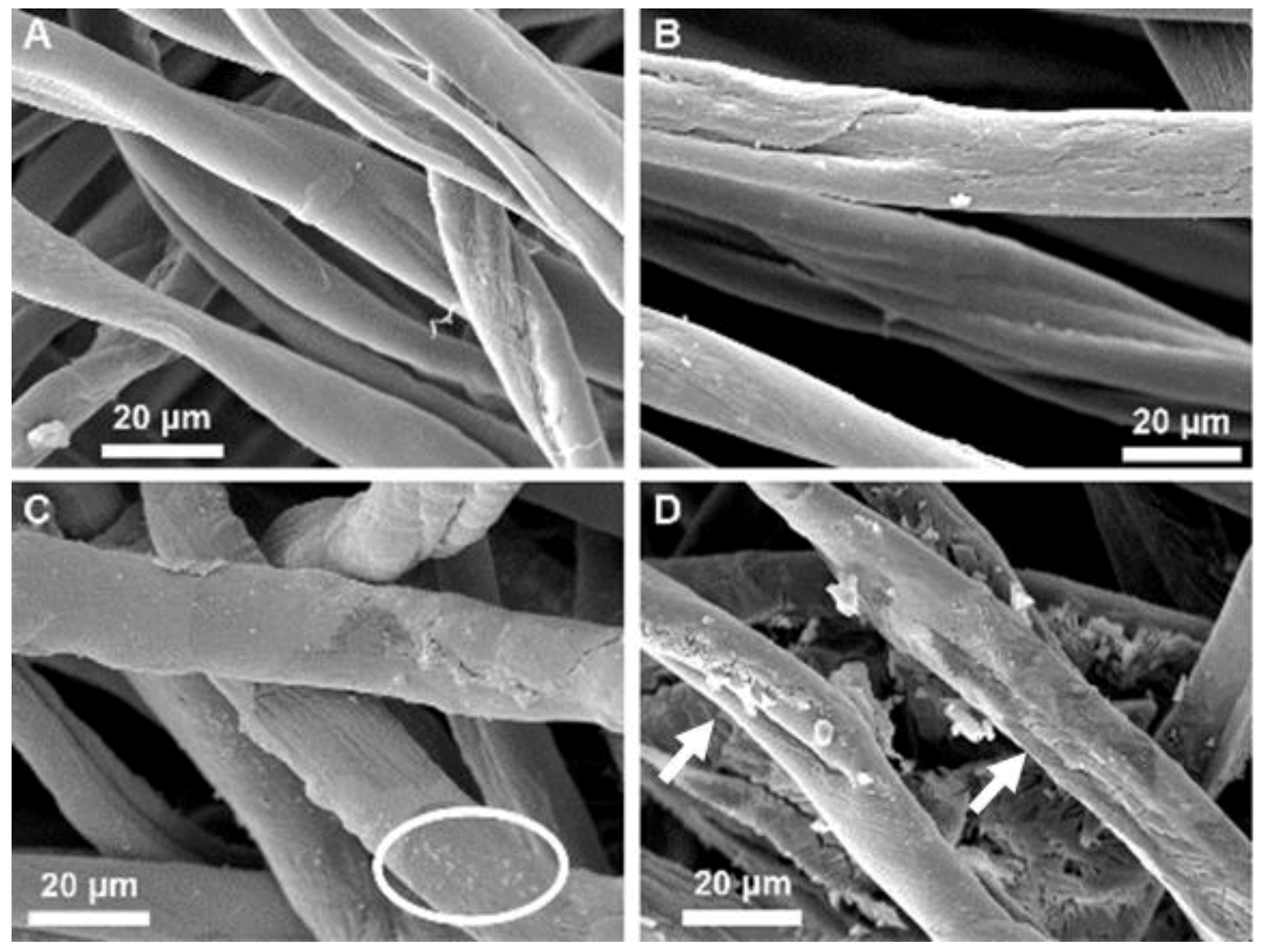 Molecules 23 02399 g005